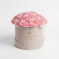Classic Beige Suede Dome Box | Light Pink Roses