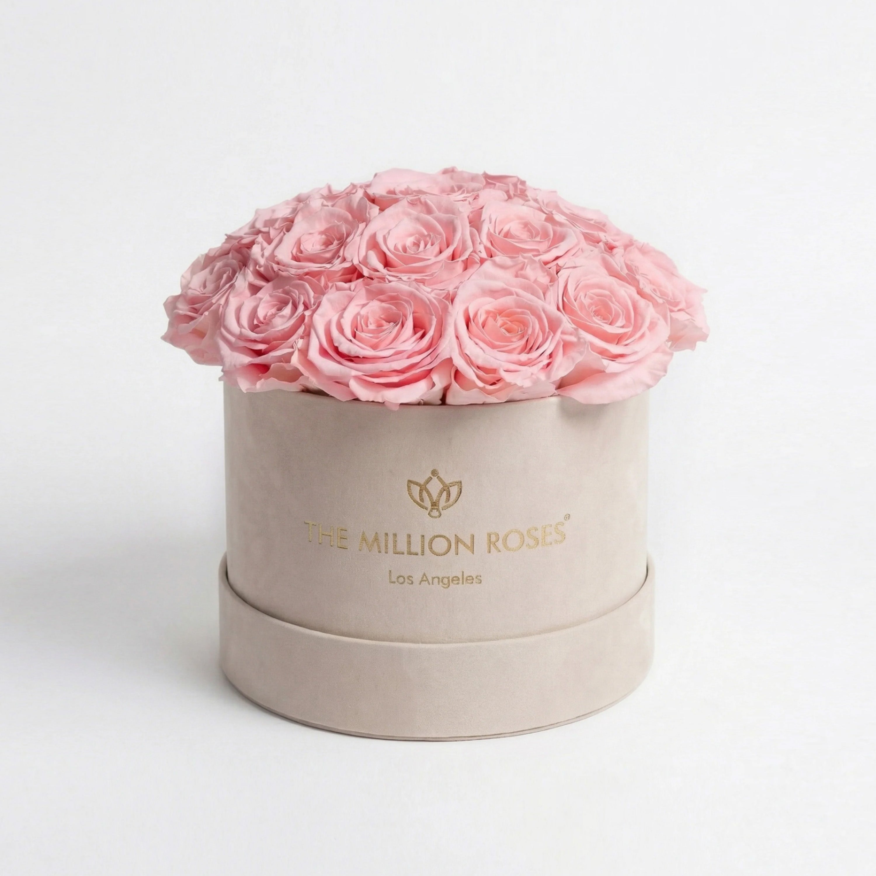Classic Beige Suede Dome Box | Light Pink Roses