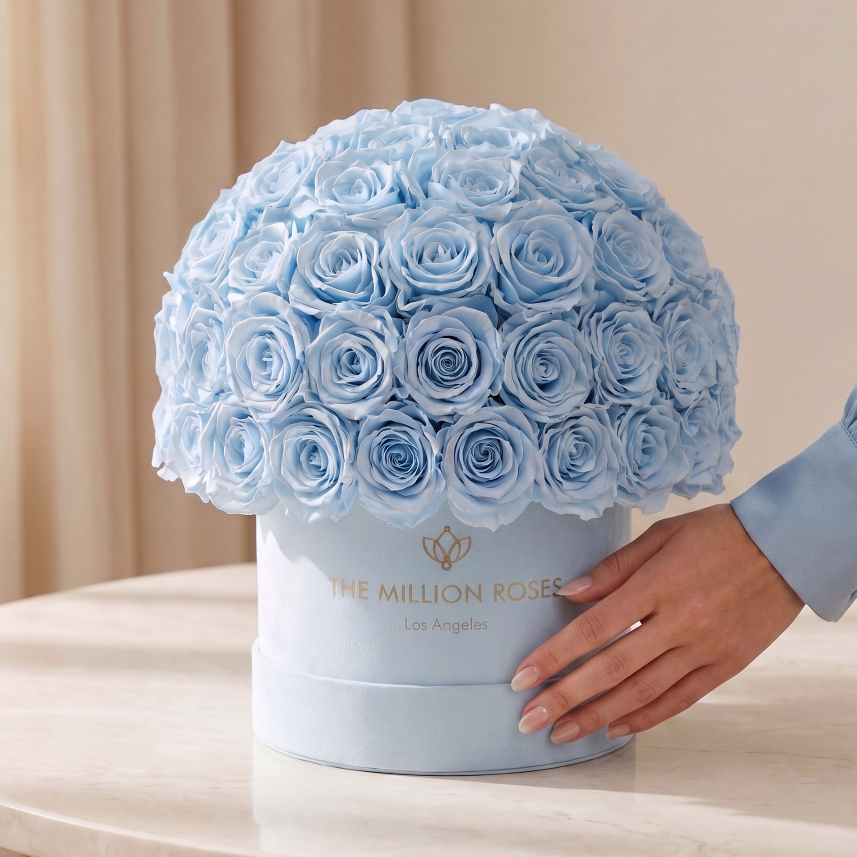 Classic Light Blue Suede Superdome Box | Light Blue Roses