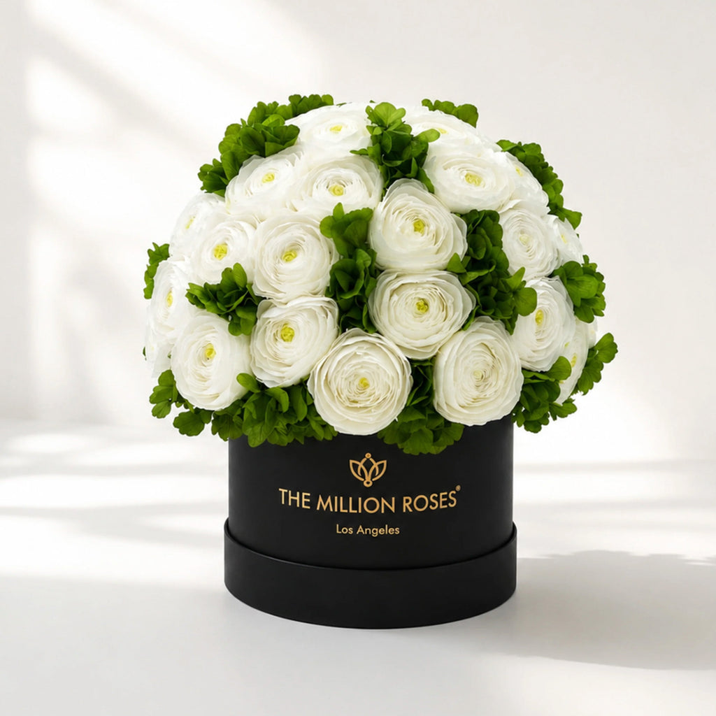 Classic Black Box | White Persian Buttercups & Green Hydrangeas