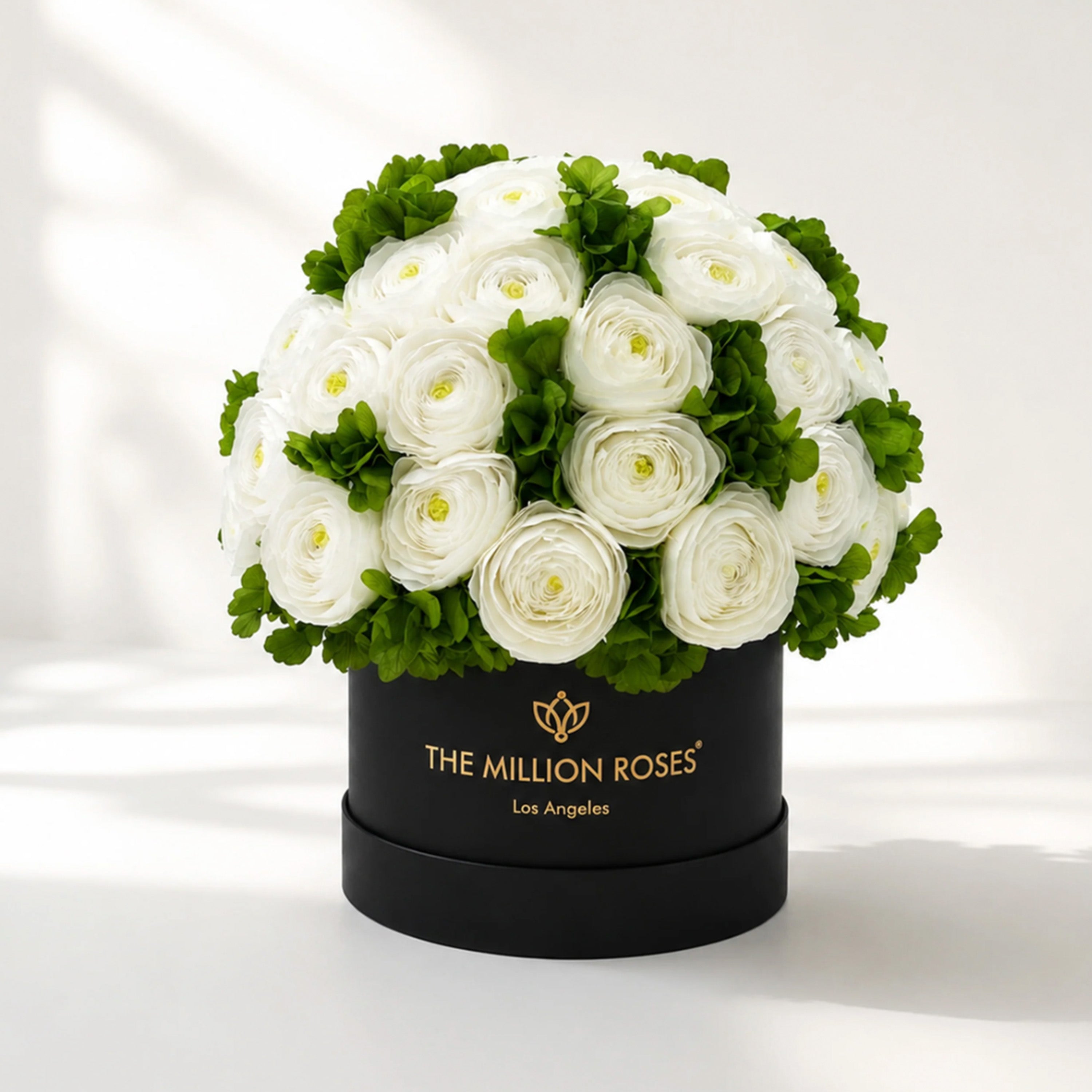 Classic Black Box | White Persian Buttercups & Green Hydrangeas