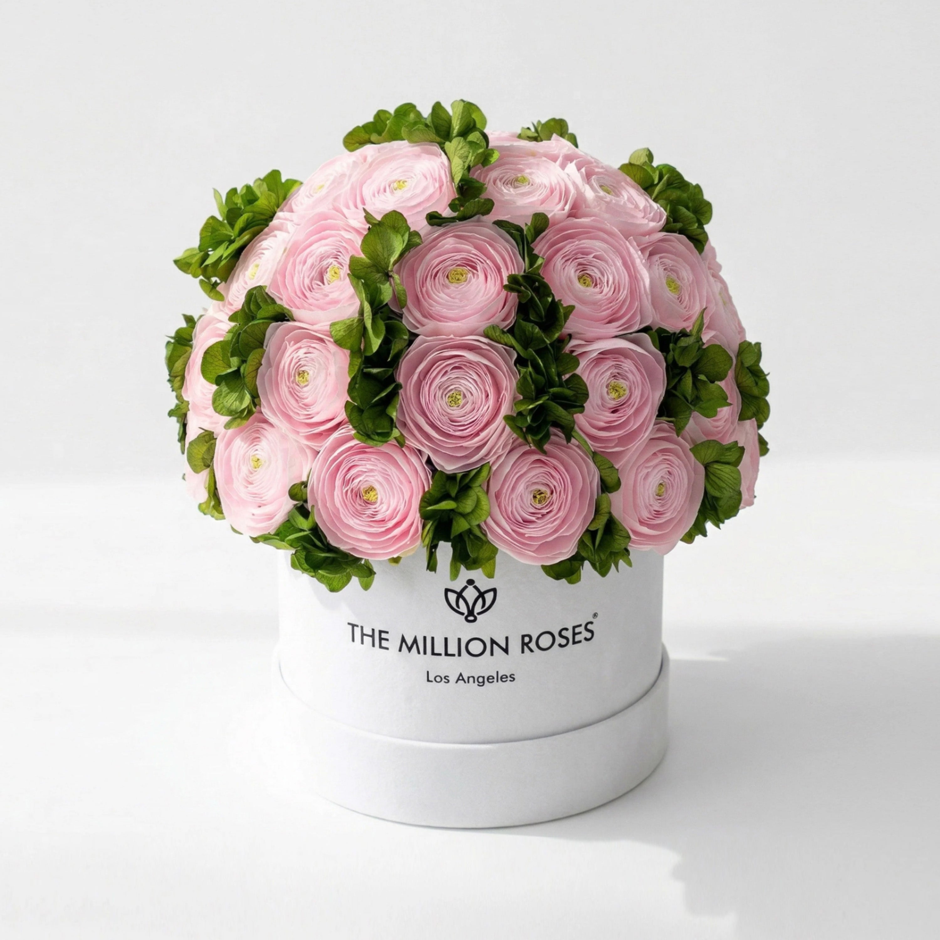 Classic White Box | Light Pink Persian Buttercups & Green Hydrangeas