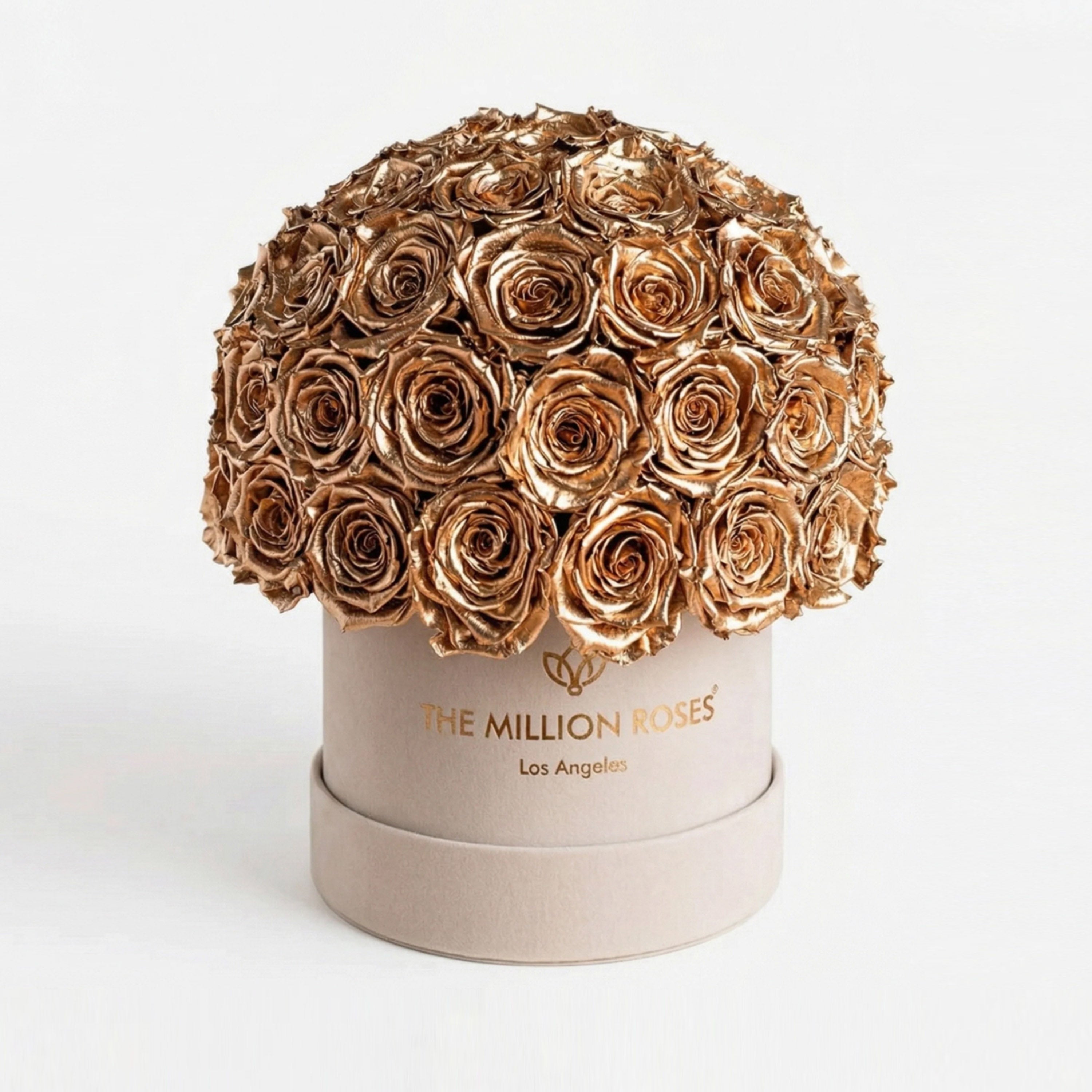 Classic Beige Suede Superdome Box | Gold Roses