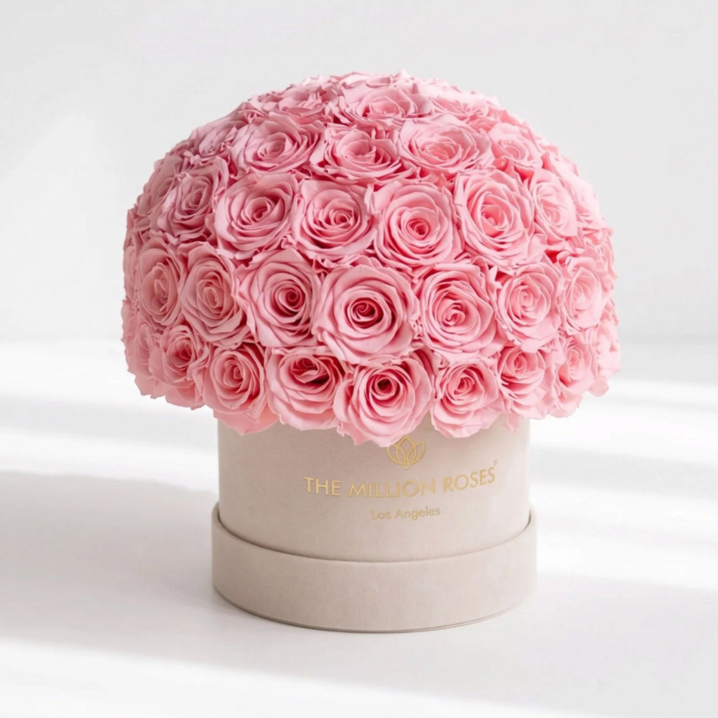 Classic Beige Suede Superdome Box | Light Pink Roses