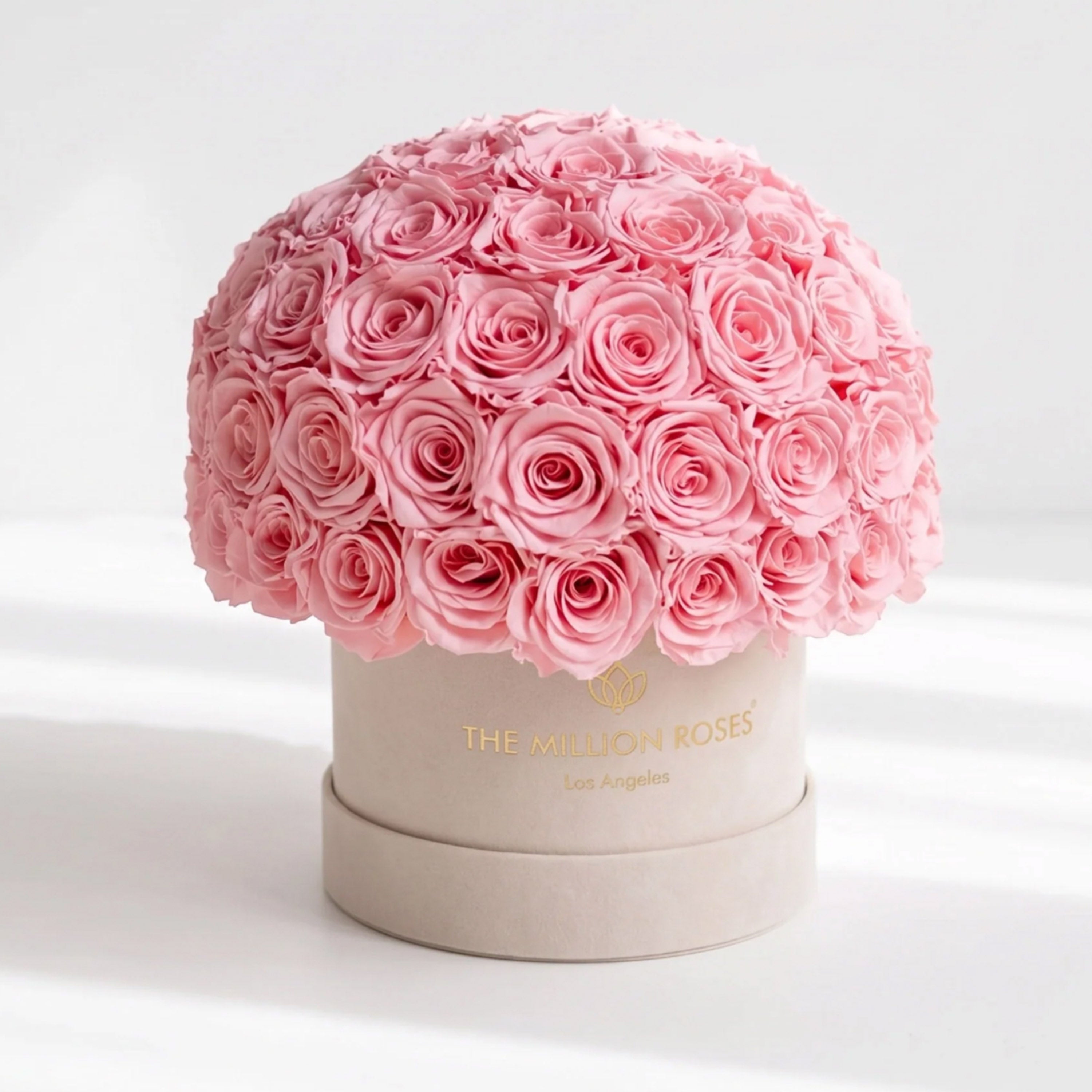 Classic Beige Suede Superdome Box | Light Pink Roses