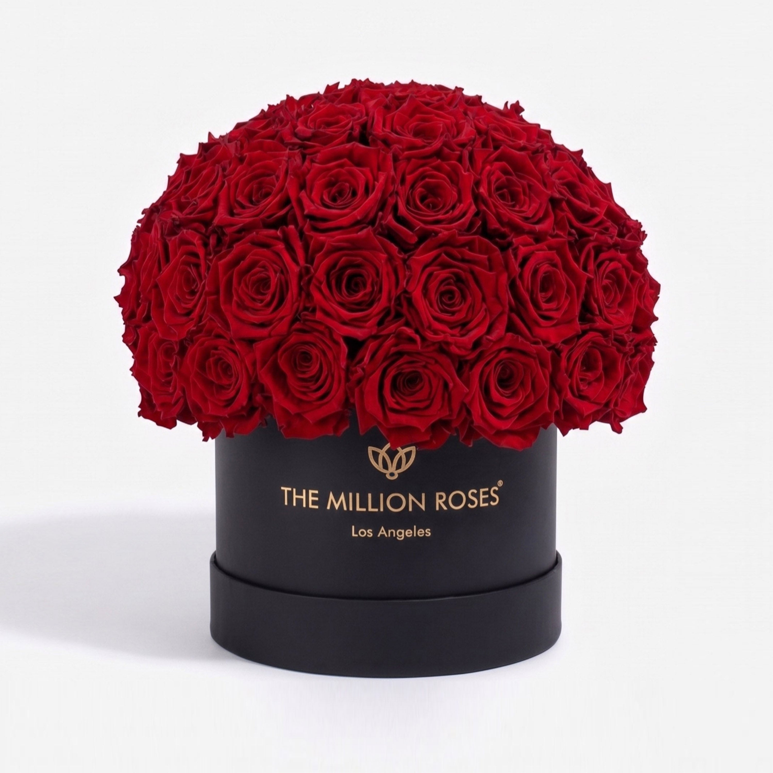 Classic Black Superdome Box | Red Roses
