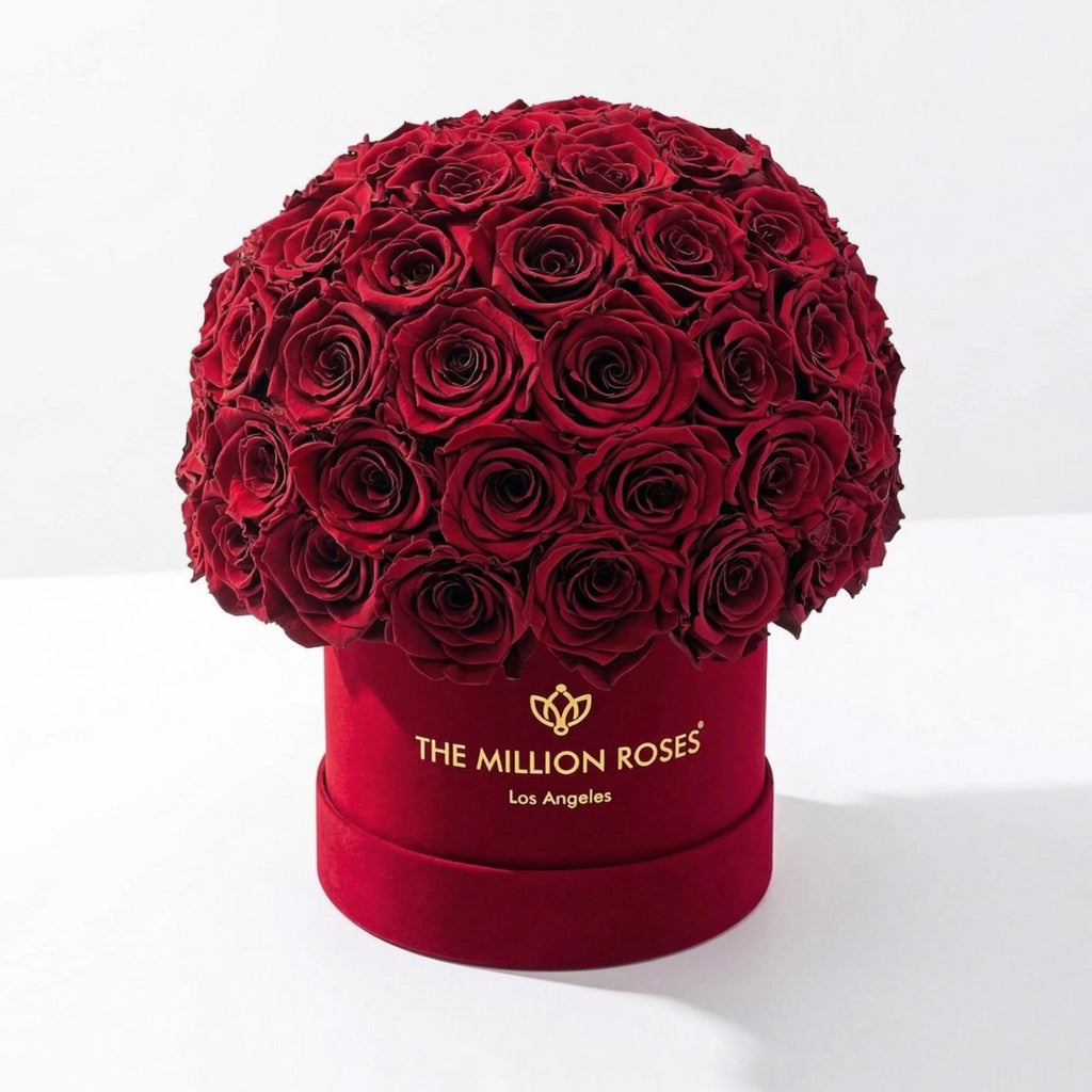 Classic Bordeaux Suede Superdome Box | Burgundy Roses