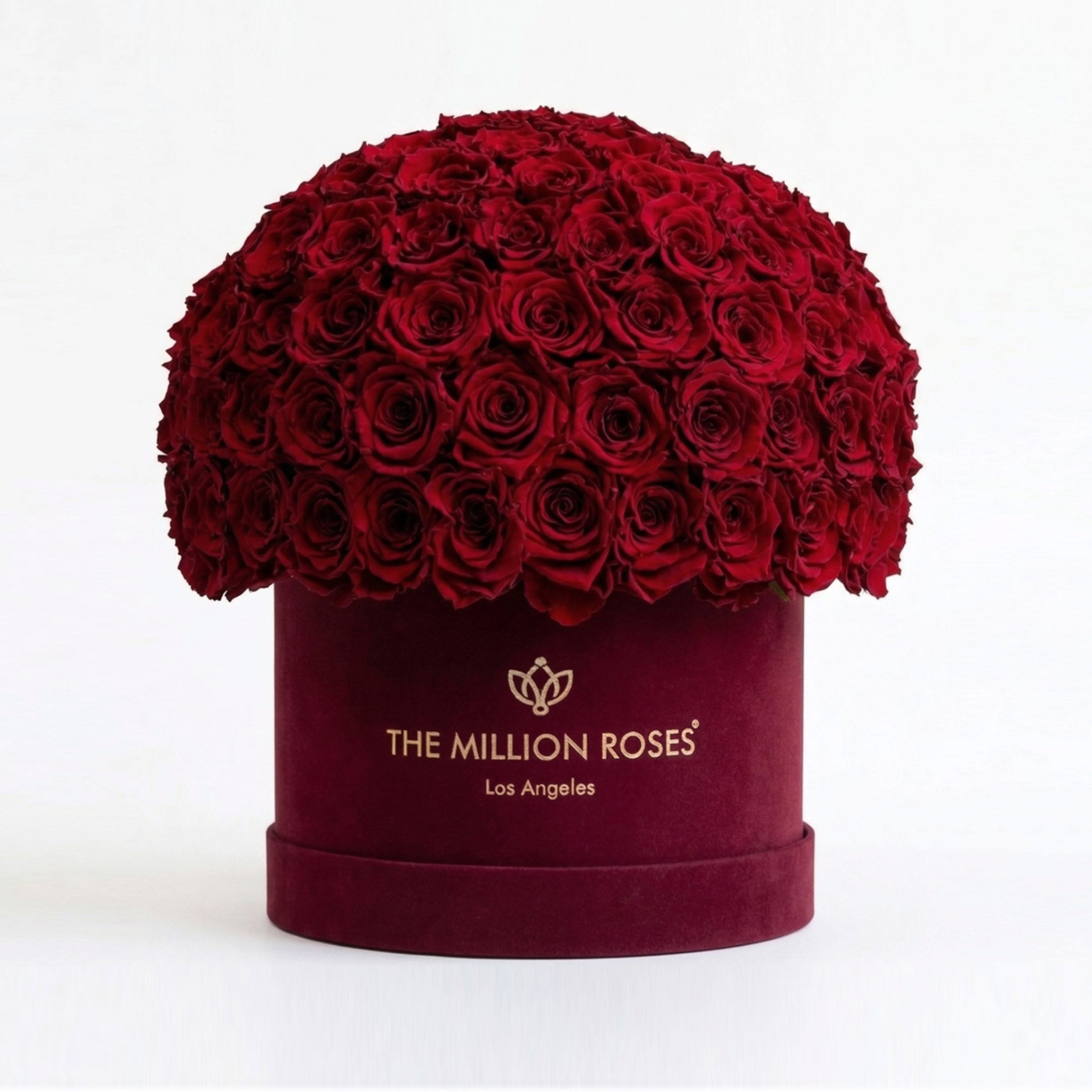 Classic Bordeaux Suede Superdome Box | Red Roses