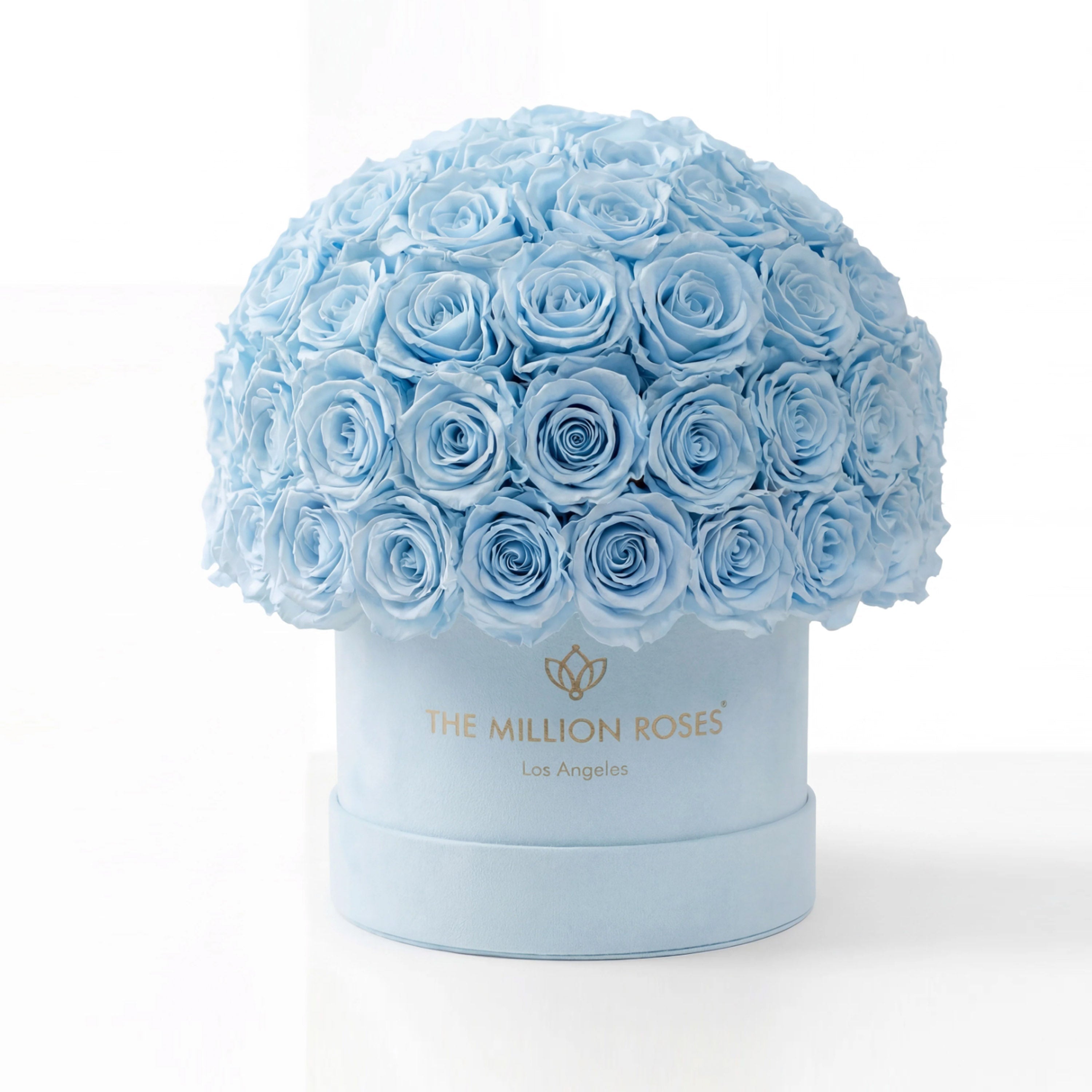Classic Light Blue Suede Superdome Box | Light Blue Roses