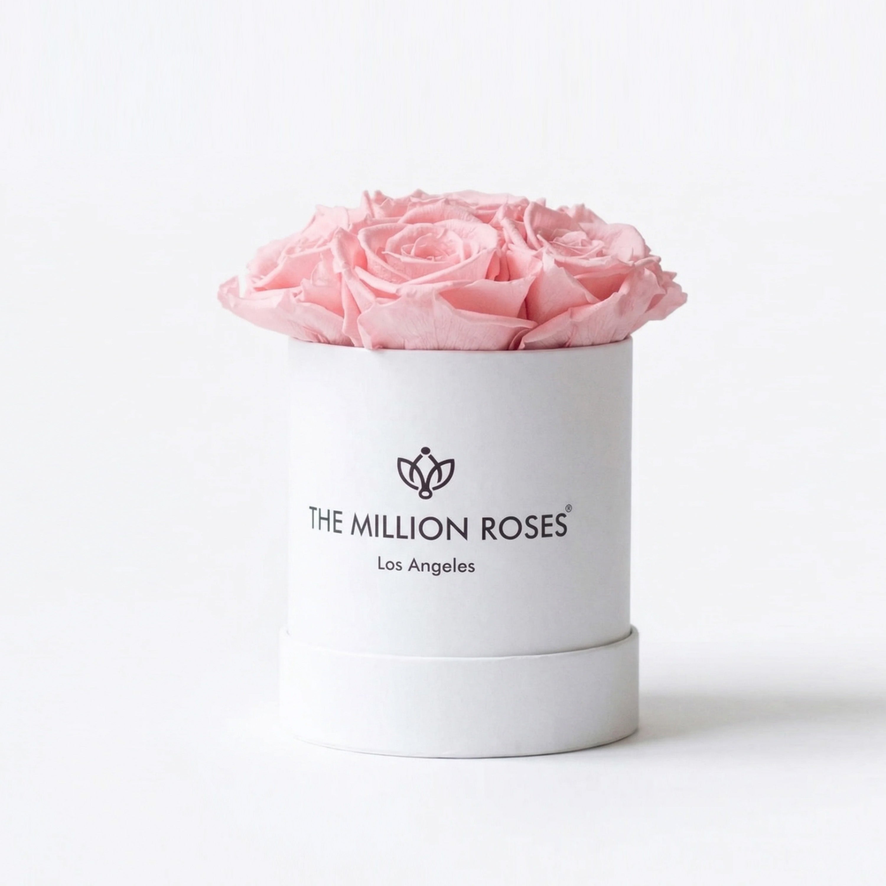Essence White Box | Light Pink Roses