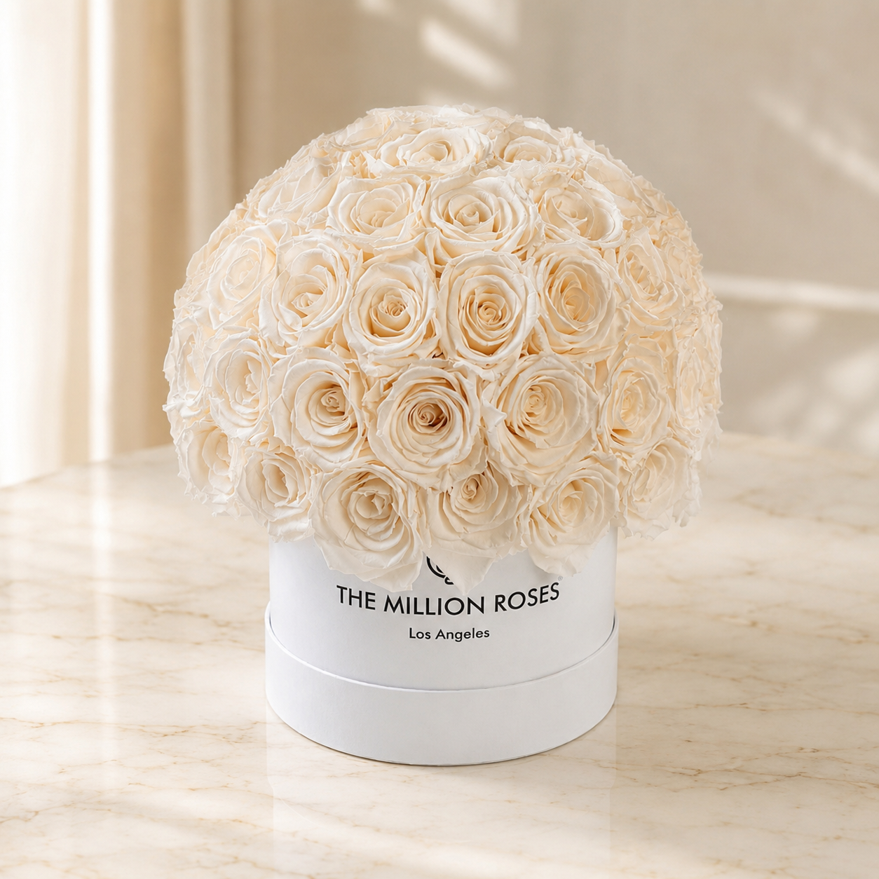 Classic White Superdome Box | White Roses