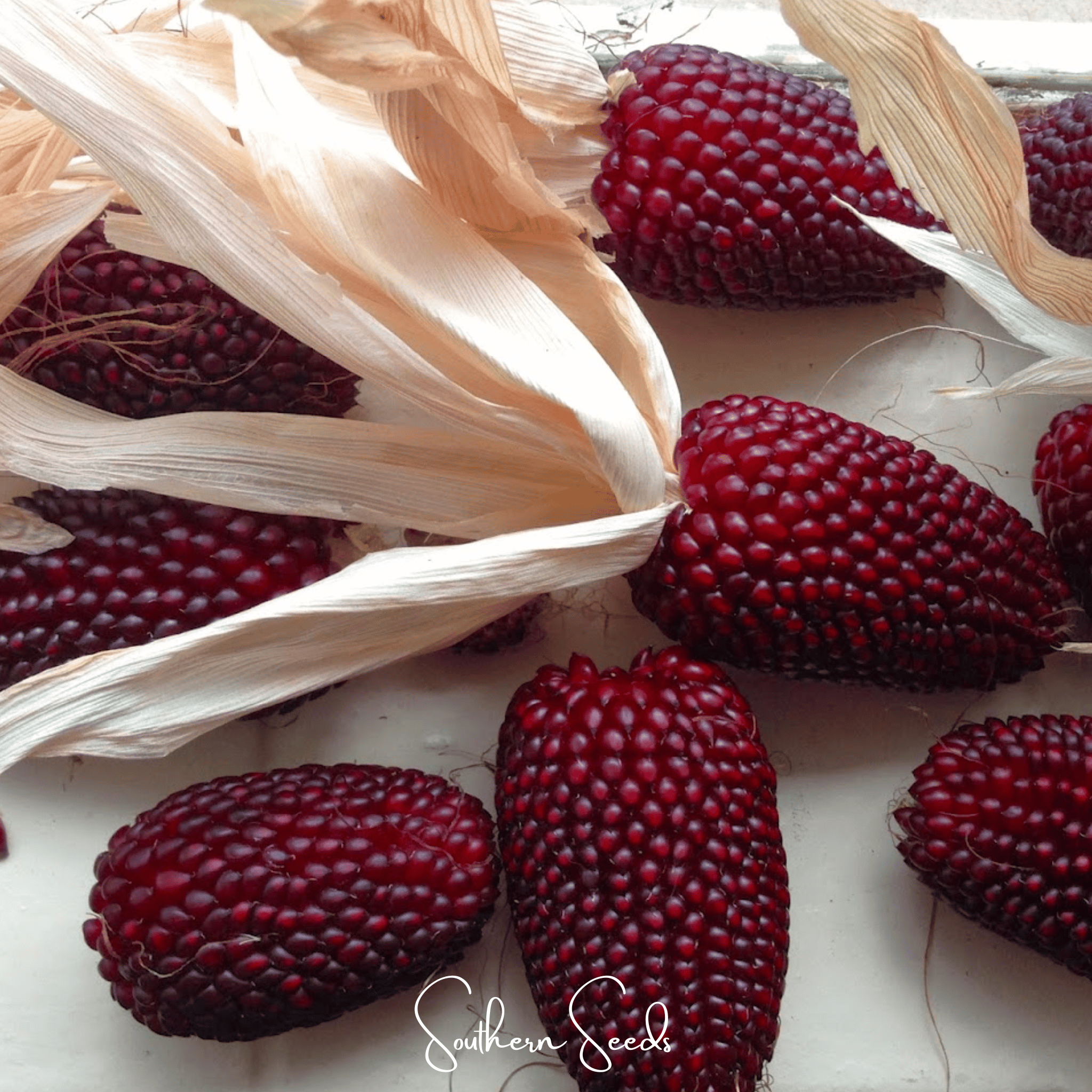 Strawberry Corn – 30 Seeds