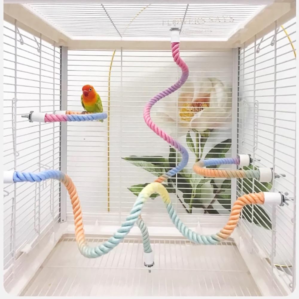 Flexible gradient rainbow bird rope perch installed inside a spacious bird cage, creating a colorful climbing and play gym for a lovebird. Bendable cotton rope perch supports climbing, balancing, exercise, and comfortable resting for parrots, parakeets, cockatiels, budgies, conures, lovebirds, finches, canaries, and other small pet birds.