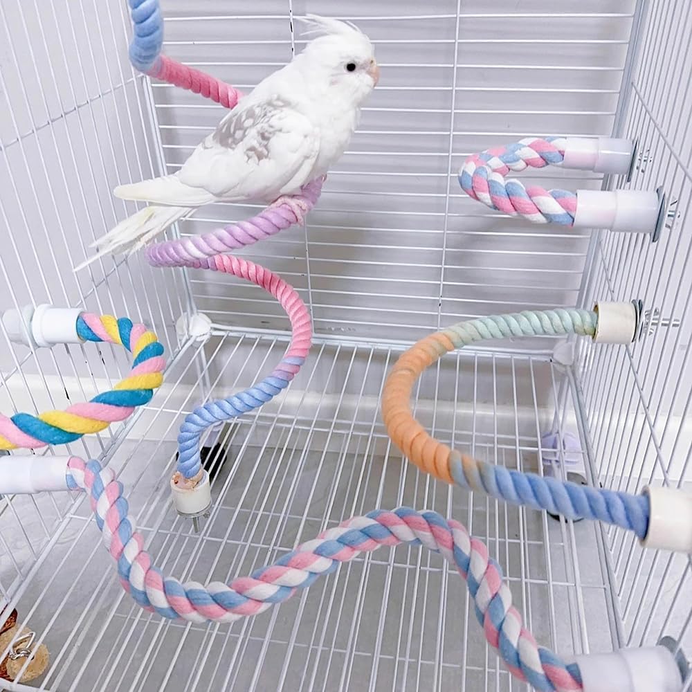 Flexible gradient rainbow rope perch installed inside a bird cage with a white cockatiel. Bendable cotton climbing perch designed for parrots, cockatiels, parakeets, budgies, lovebirds, conures, finches, canaries, and other small pet birds, providing comfortable perching, climbing, balancing, and enrichment.
