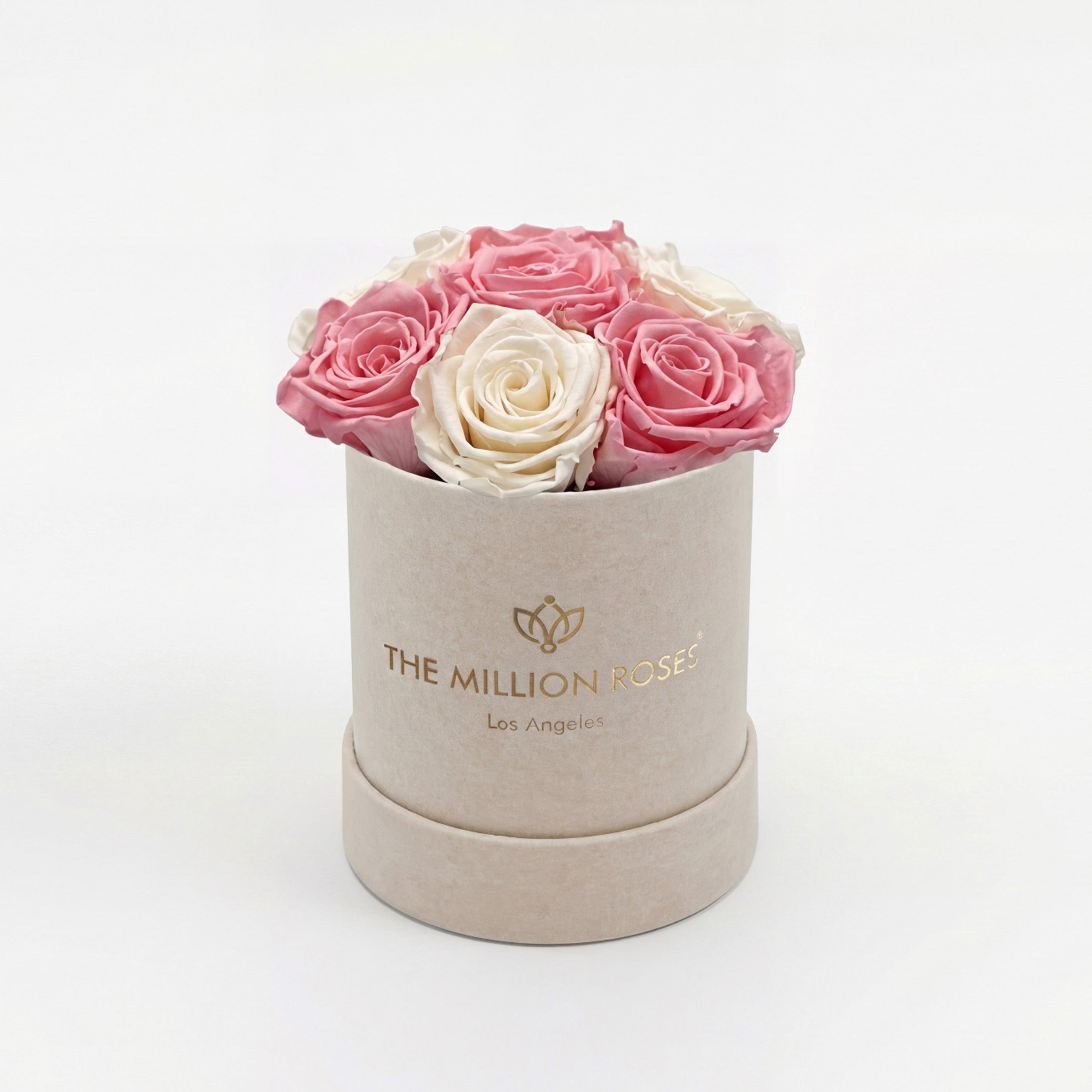Essence Beige Suede Box | Light Pink & White Roses