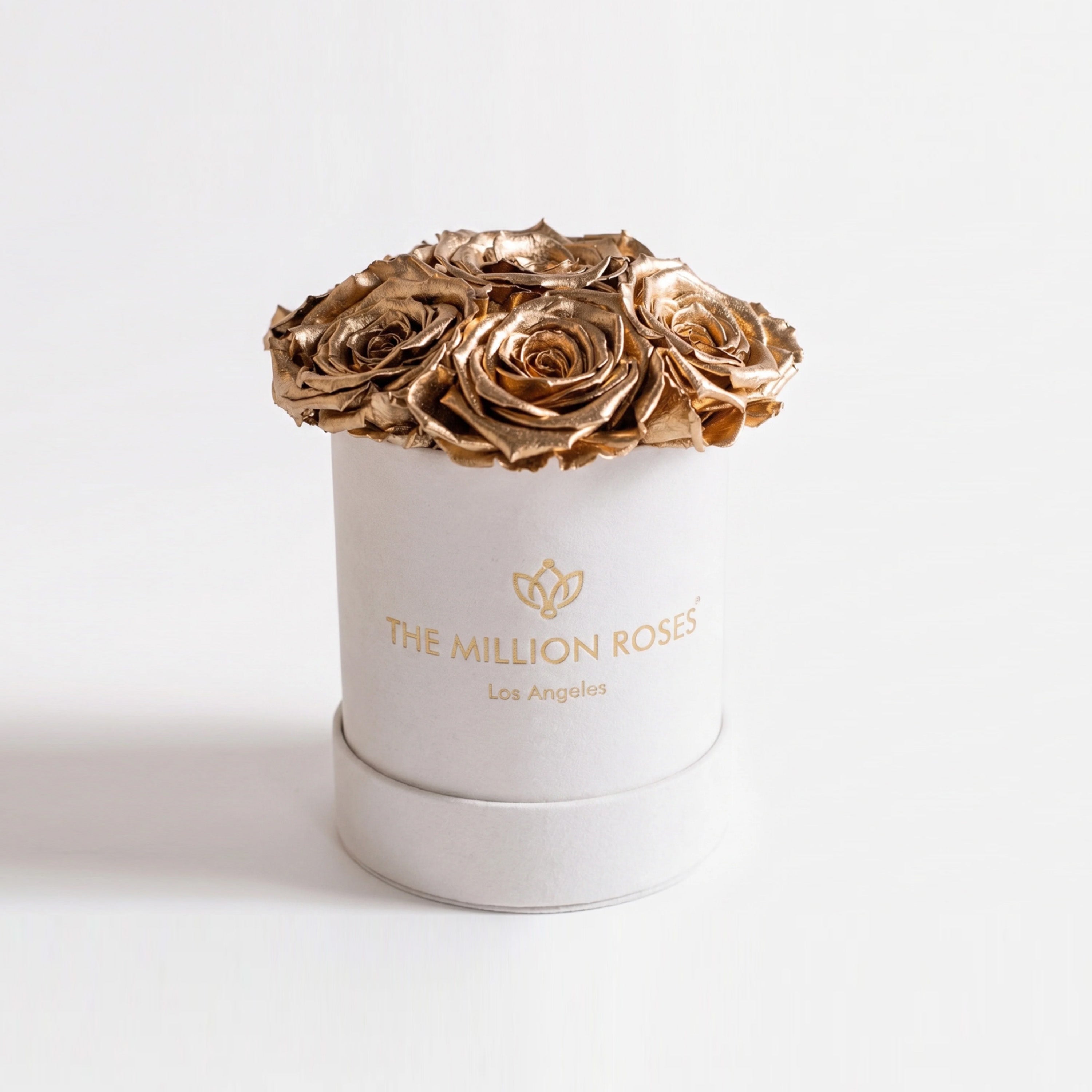 Essence Beige Suede Box | Gold Roses