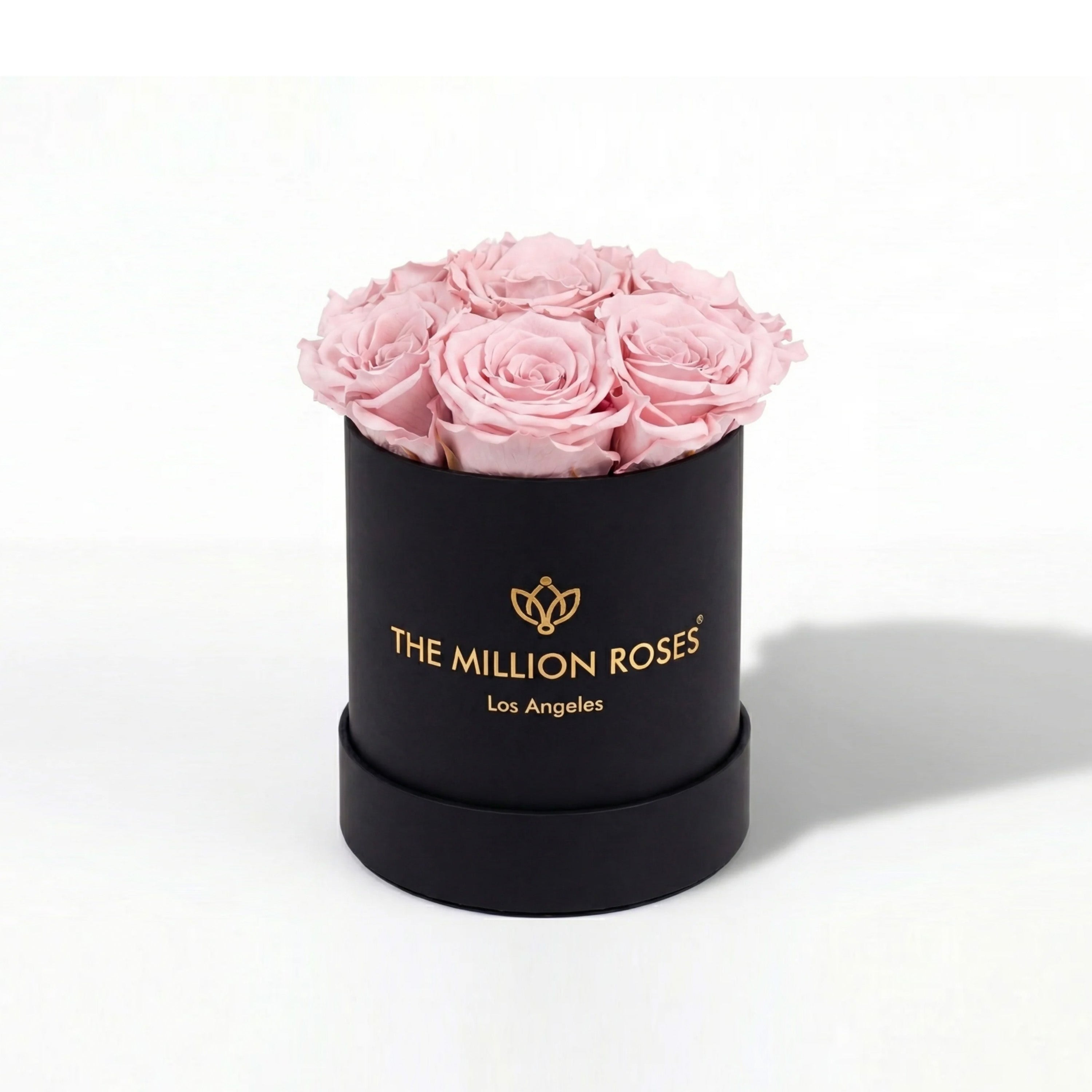 Essence Black Box | Light Pink Roses