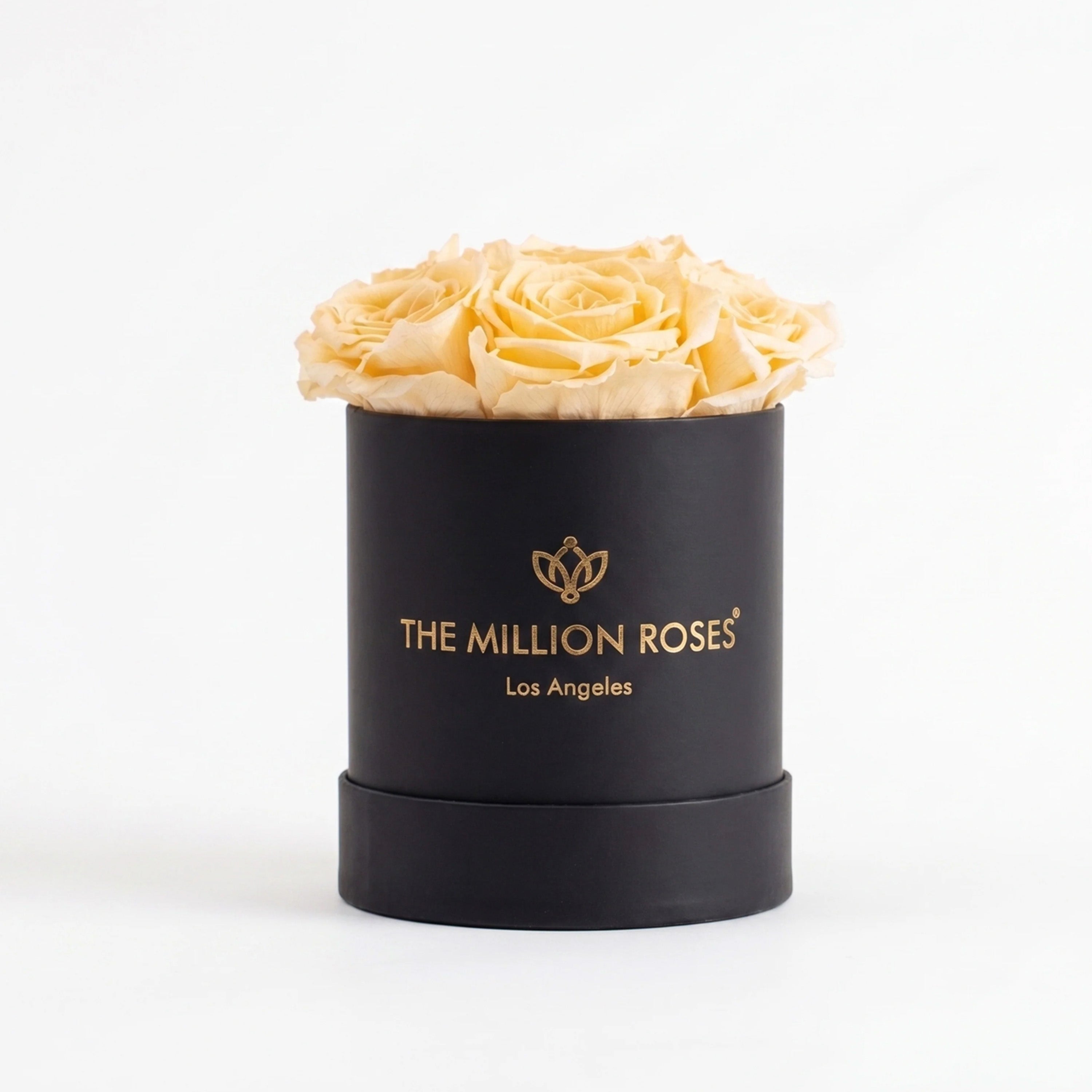 Essence Black Box | Ivory Roses