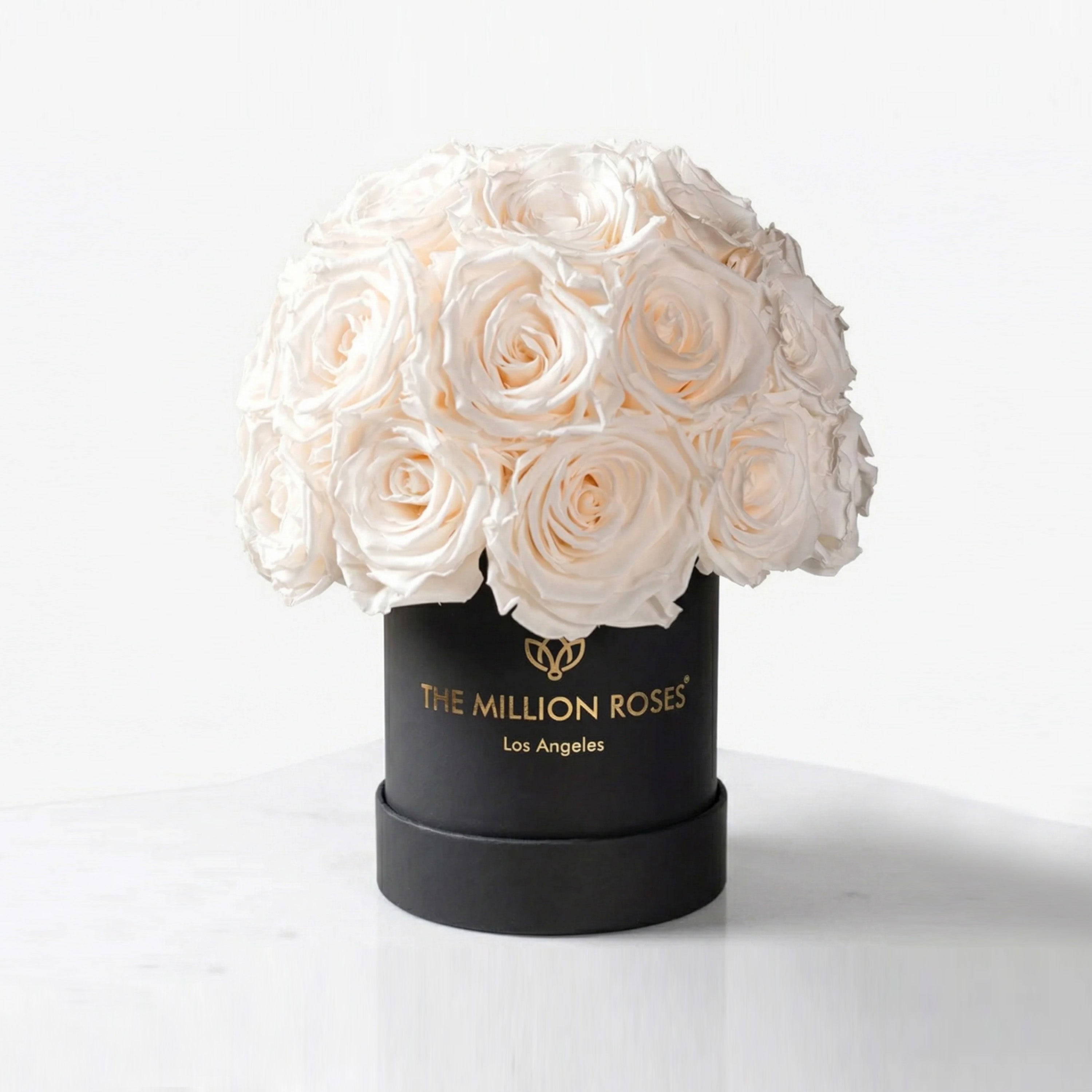 Essence Black Superdome Box | White Roses