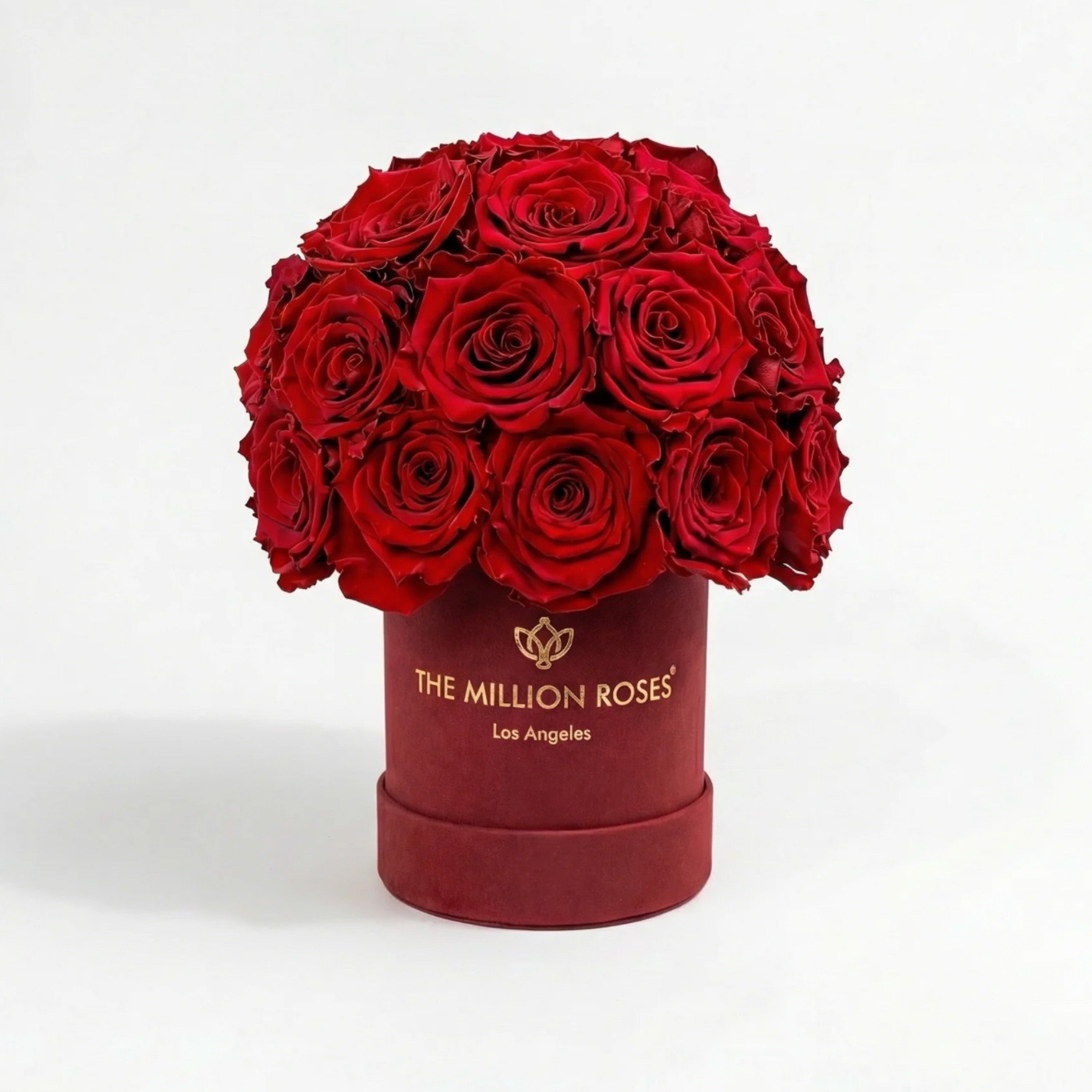 Essence Bordeaux Suede Superdome Box | Red Roses