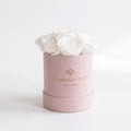 Essence Light Pink Suede Box | White Roses