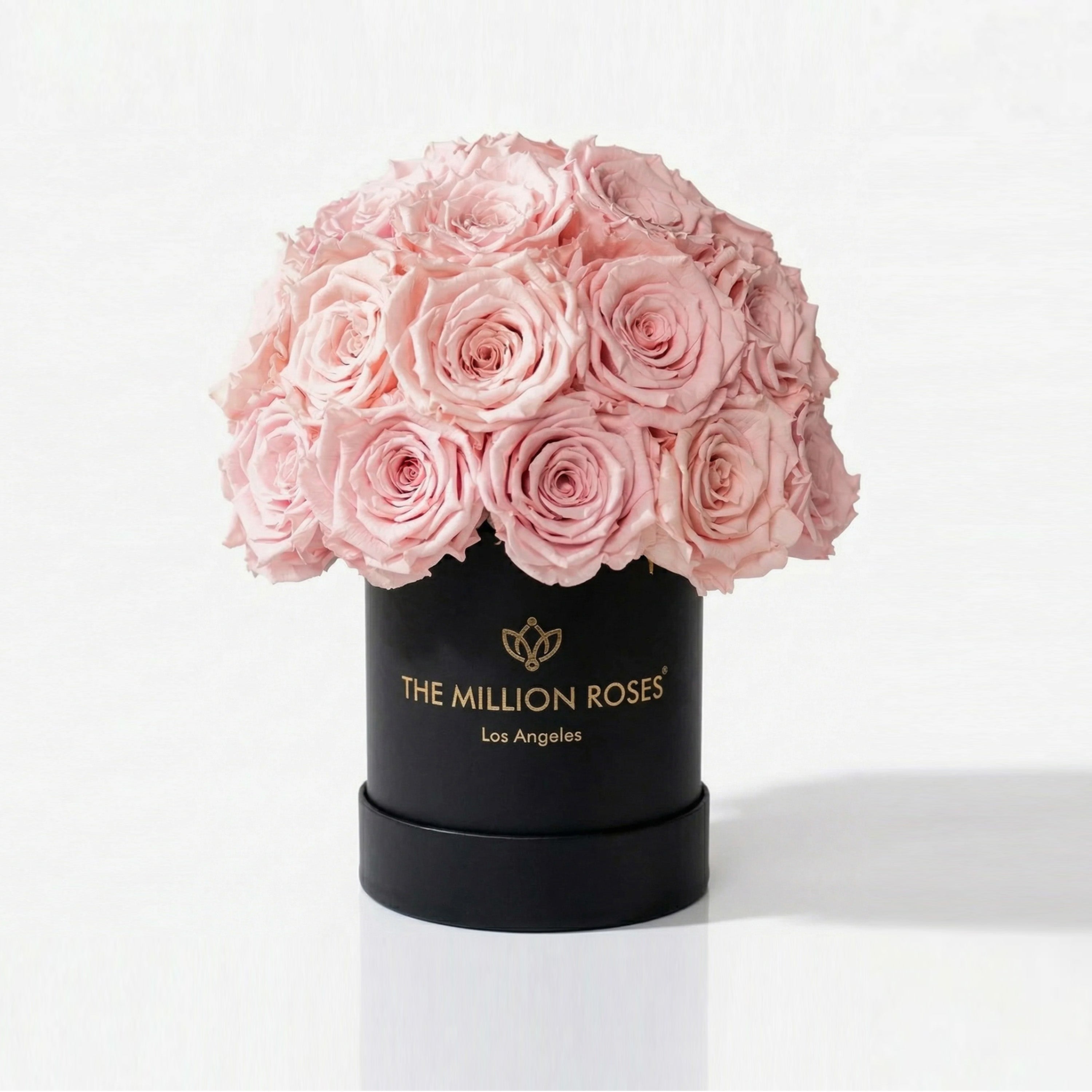 Essence Black Superdome Box | Light Pink Roses