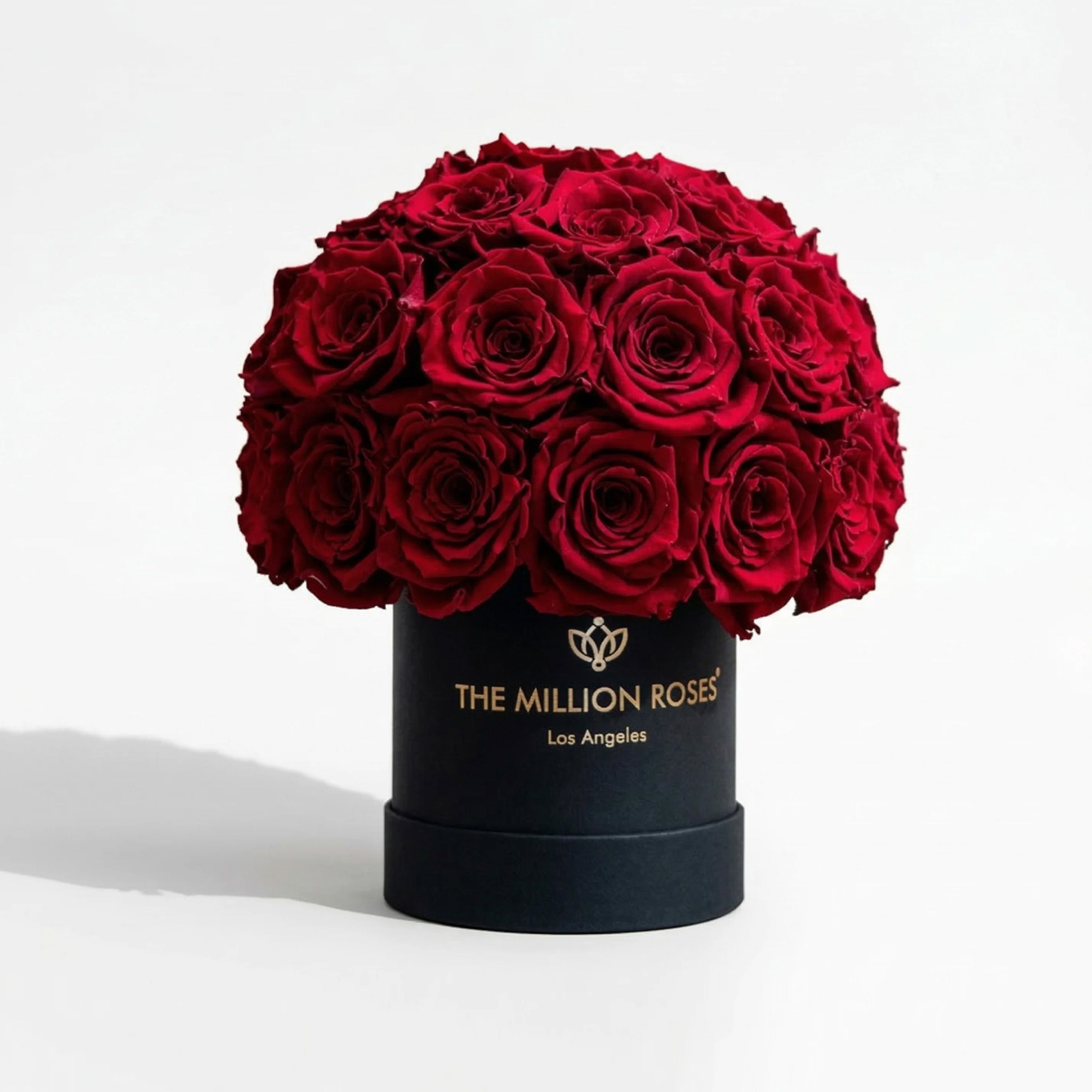 Essence Black Superdome Box | Red Roses