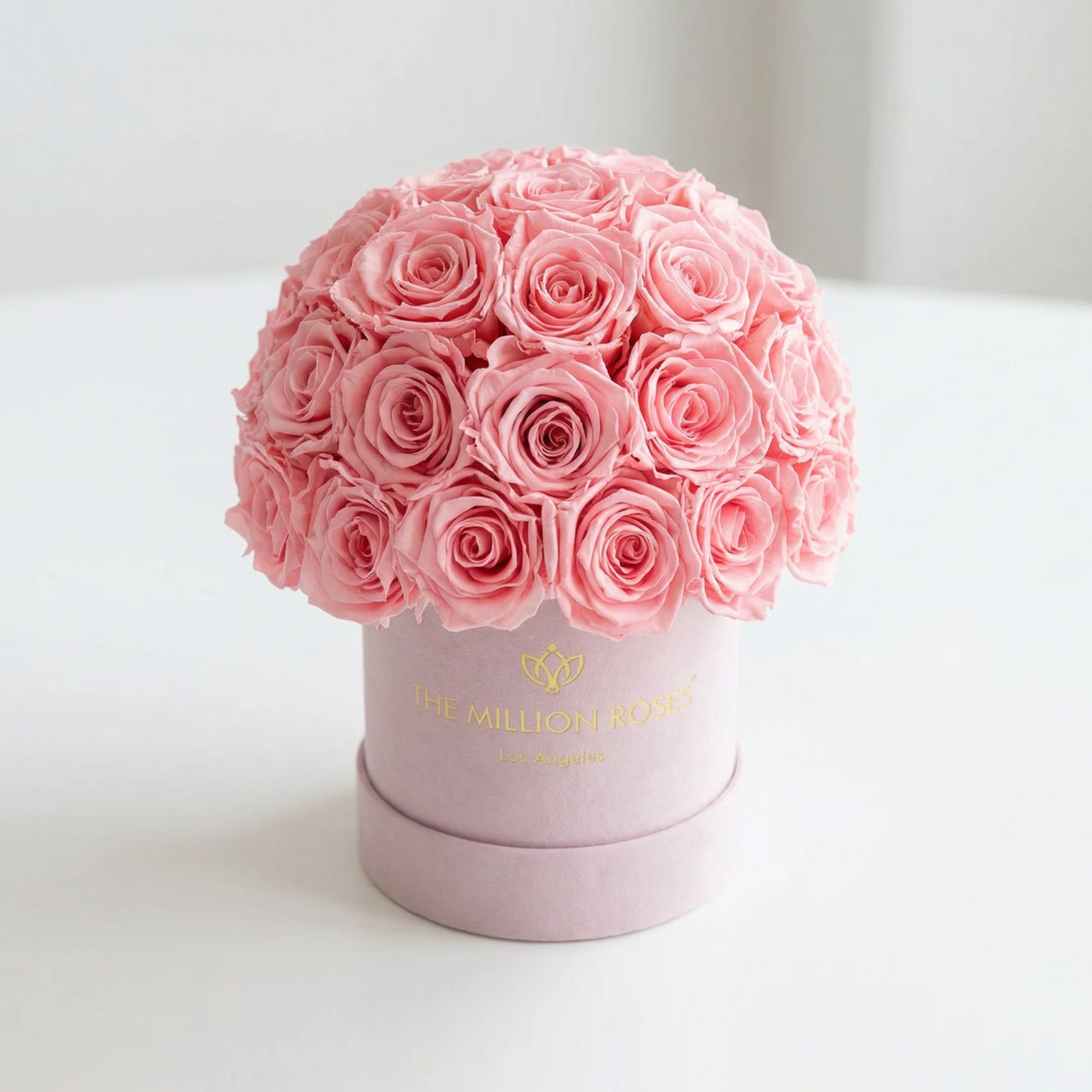 Essence Light Pink Suede Superdome Box | Light Pink Roses