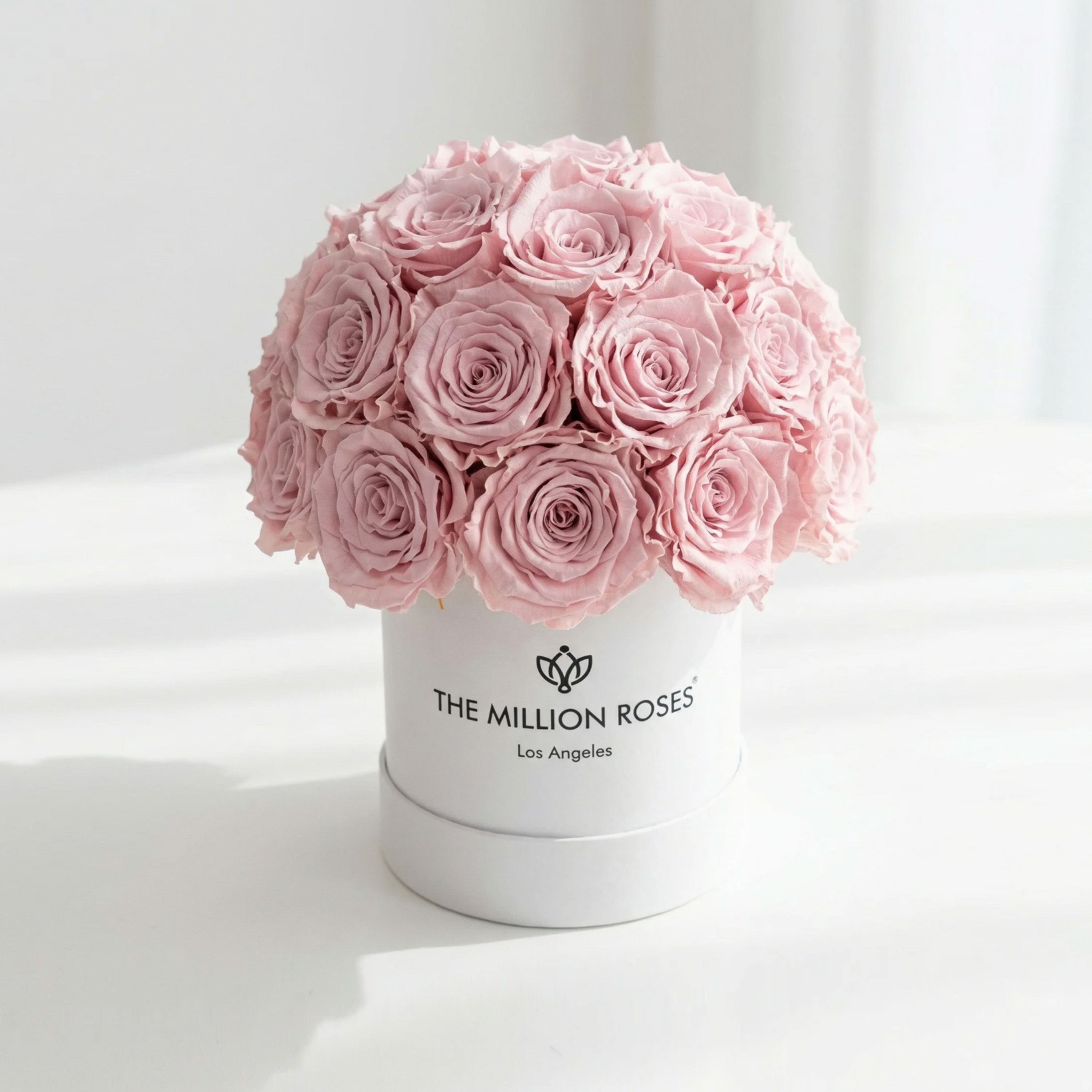 Essence White Superdome Box | Light Pink Roses