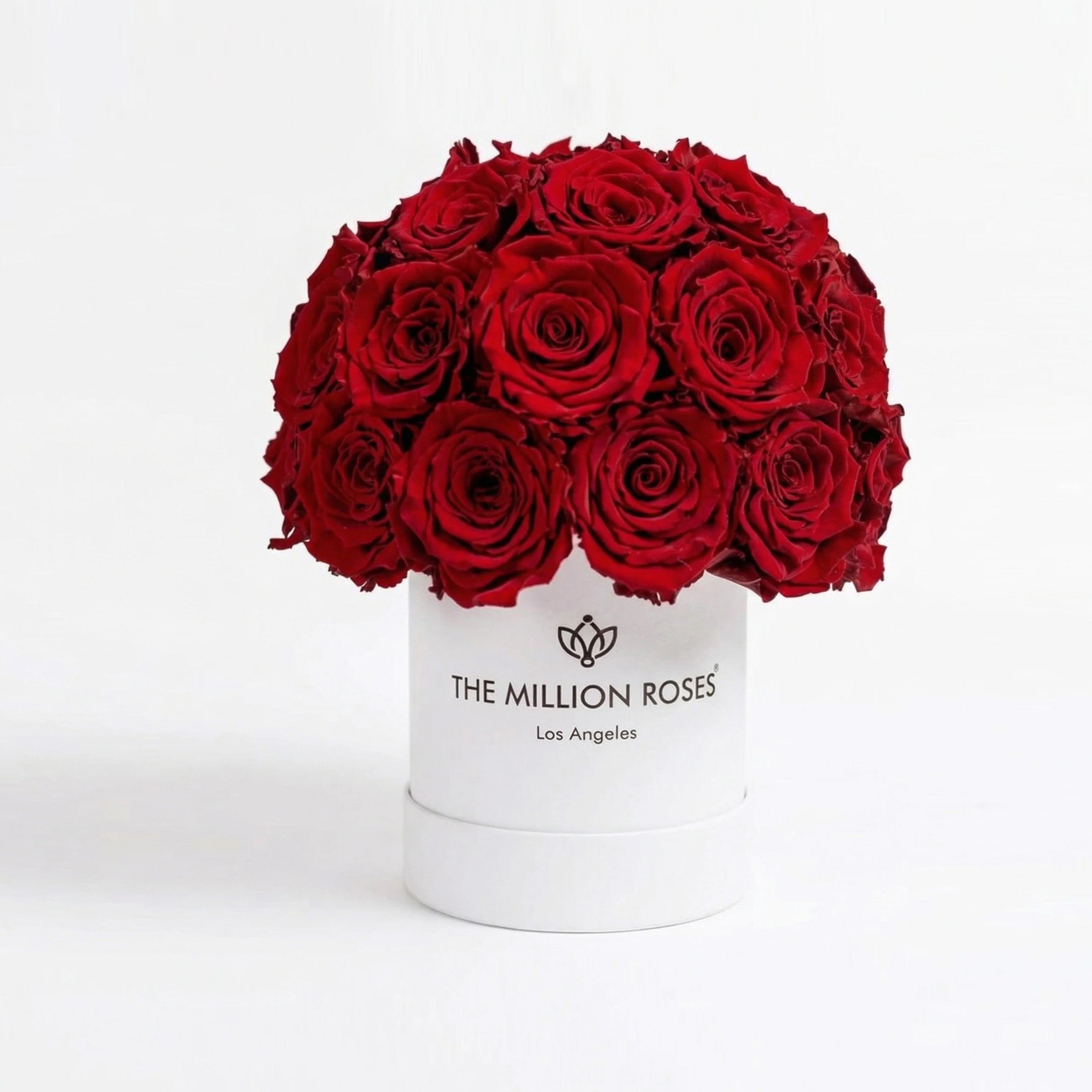 Essence White Superdome Box | Red Roses