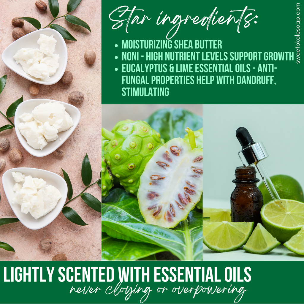 Natural Conditioner Bar - Eucalyptus & Lime Essential Oils with Noni