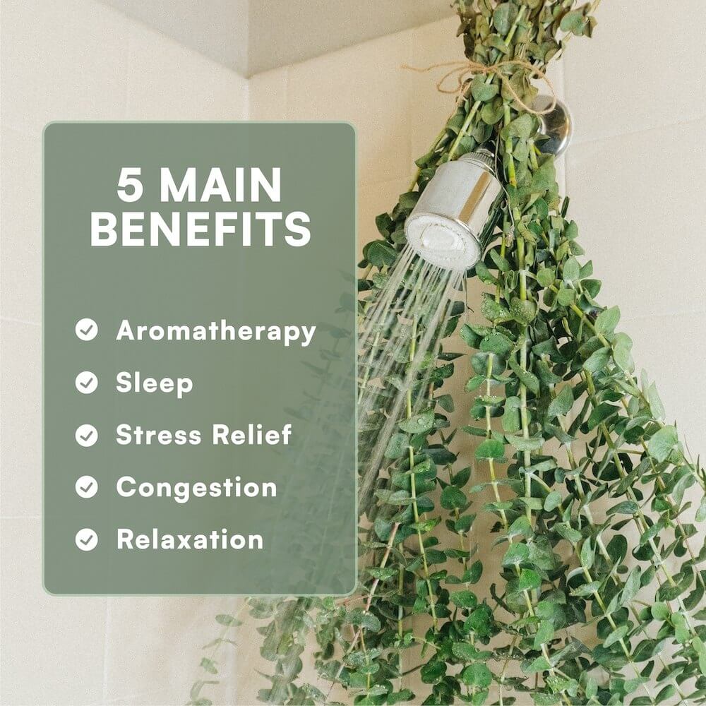 BODY SCRUB-Stress Relief & Skin Exfoliating  with Eucalyptus & Spearmint
