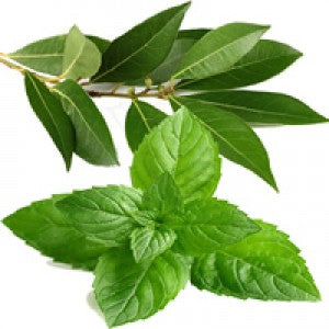 STRESS RELIEF AROMATHERAPY CANDLE-with Eucalyptus-Peppermint & Tea Tree (10 OZ)