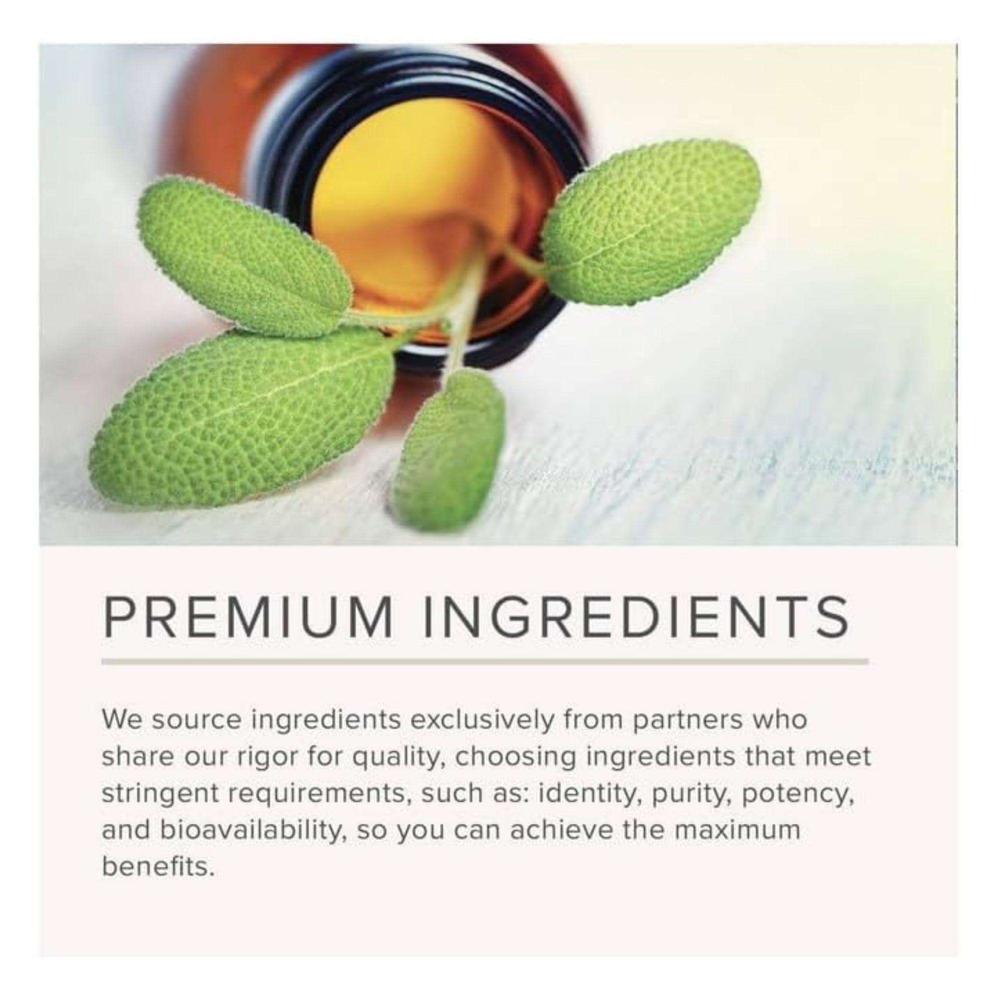 NusaPure Echinacea 20:1 Extract, 300 mg 200 Veggie Caps, Vegan, Non-GMO, Gluten Free Supplement