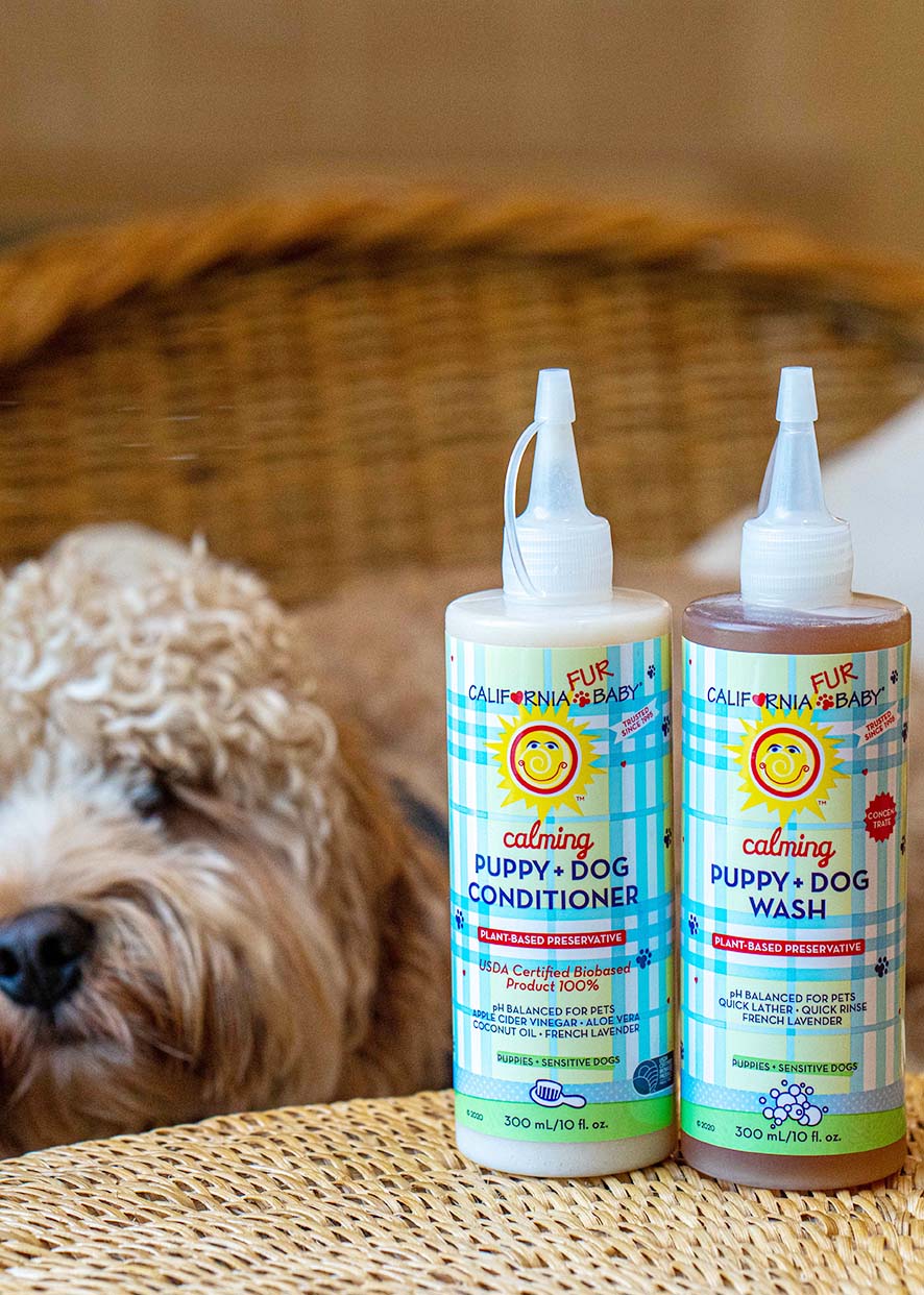 Two bottles of California Baby Calming™ Puppy + Dog Wash and Conditioner displayed on a woven surface with a fluffy dog in the background. Vegan pet grooming set for puppies and dogs.