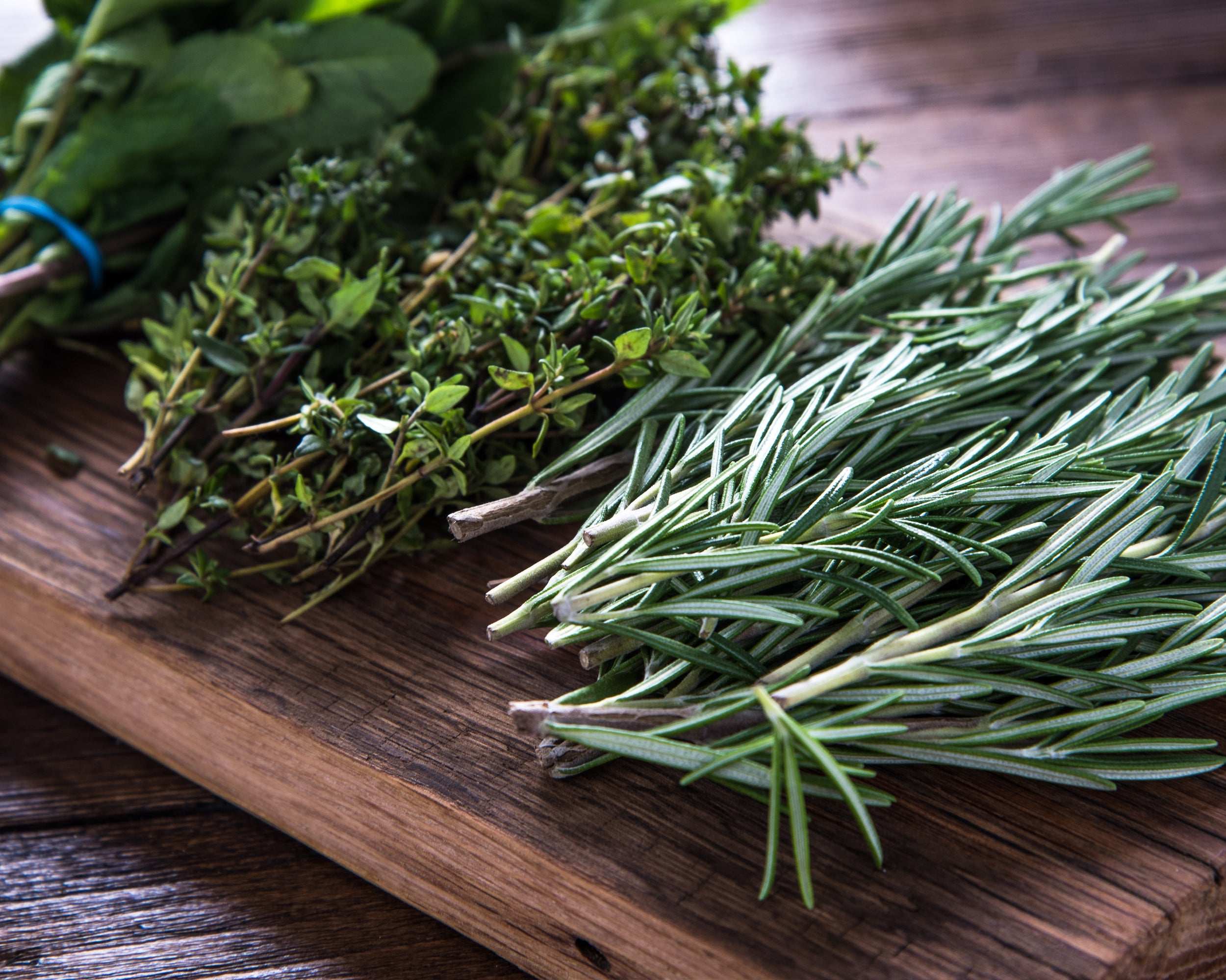 Fragrant Herb Plants Collection Rosemary Sage Quart Pots