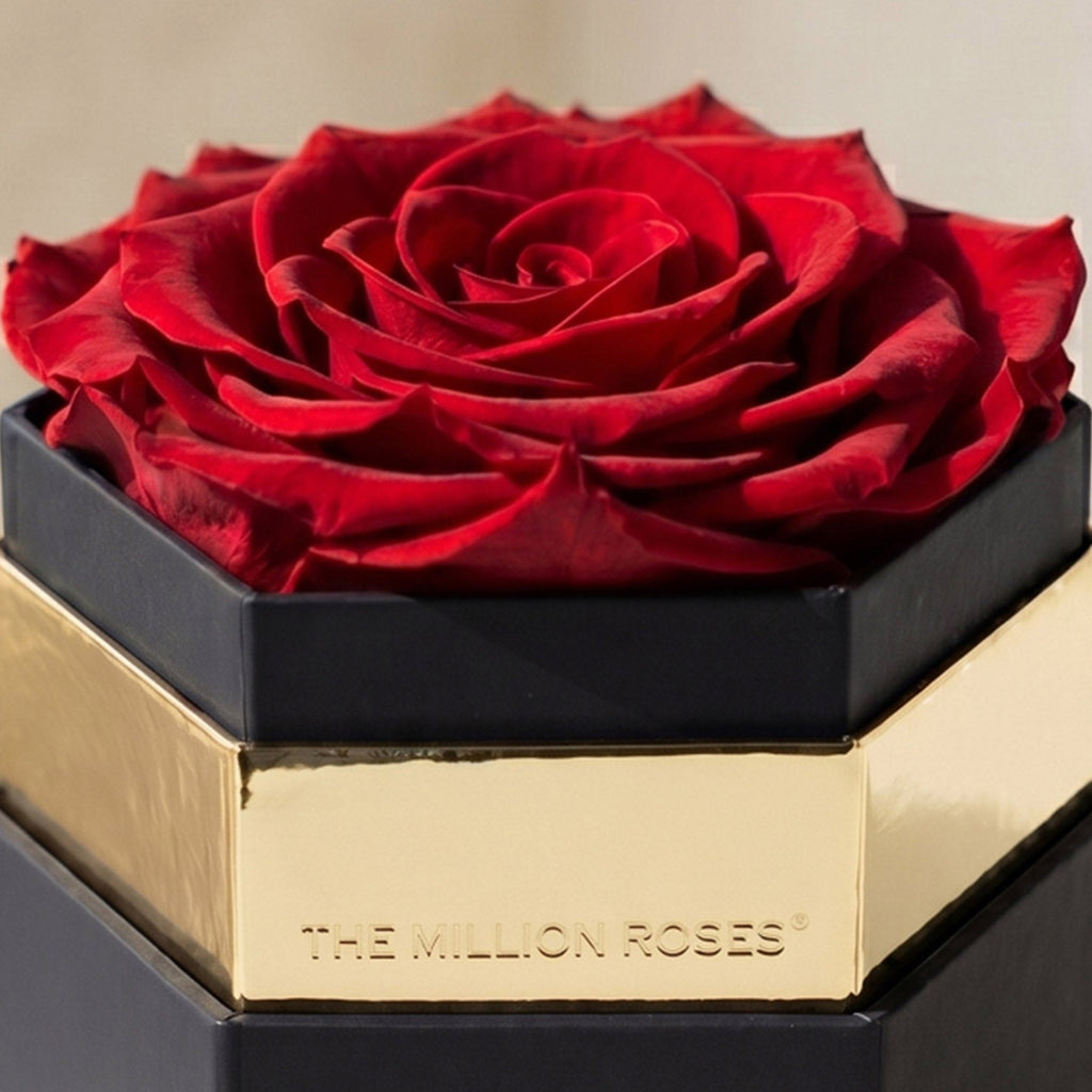 One in a Million™ Black Hexagon Box | Red Rose