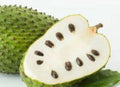Organic Soursop Plant in Half Gallon Pot - Fast Growing Guanabana Tree (Annona muricata) 6-10 Inch Height
