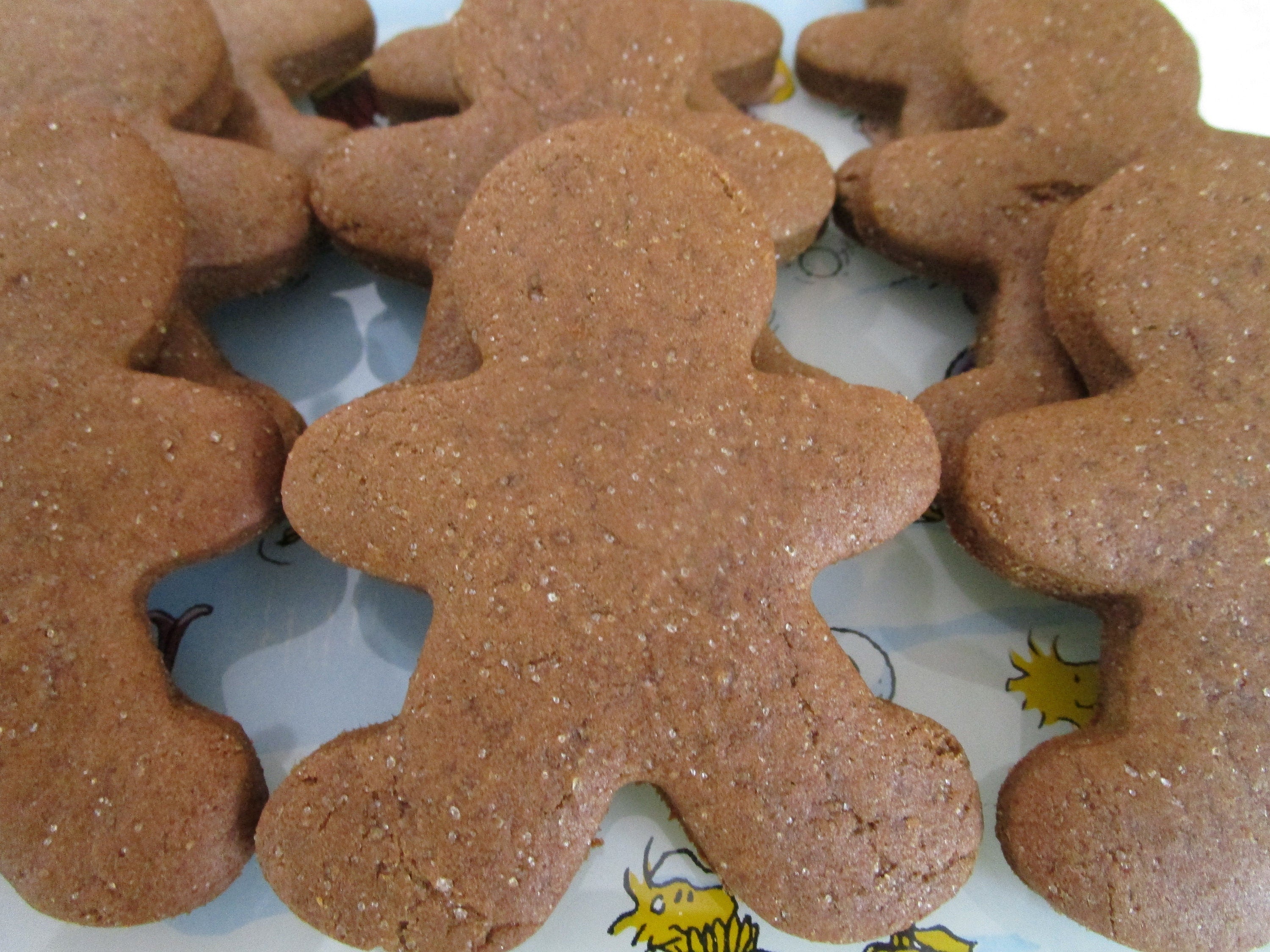 Sugar Free Gingerbread Men Cookies, Gluten Free, Dairy Free, Egg Free, Vegan, Nut Free, School Safe, Low-calorie Snacks, Christmas in July