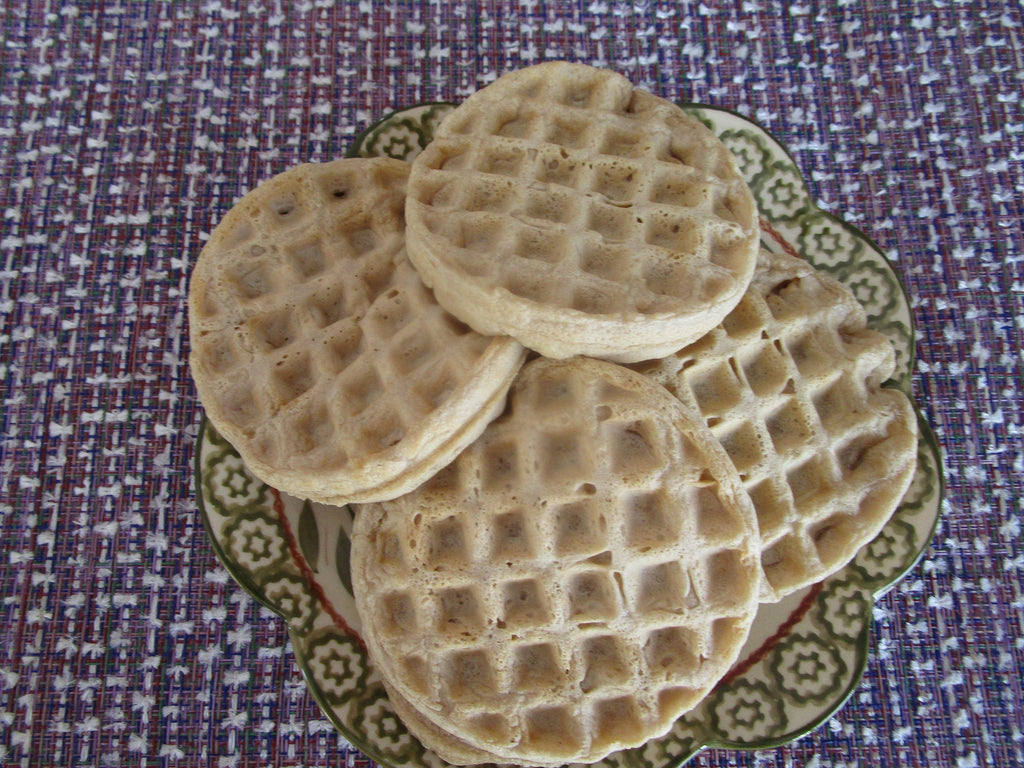 AIP Paleo Waffles, Grain Free, Gluten Free, Vegan, Egg Free, Dairy Free, Ready to go, No Sugar, Birthday Gift, blueberry, Healthy Breakfast