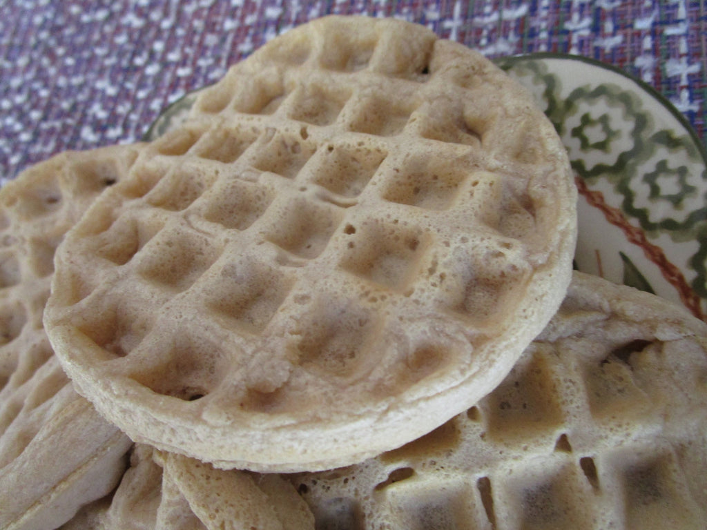AIP Paleo Waffles, Grain Free, Gluten Free, Vegan, Egg Free, Dairy Free, Ready to go, No Sugar, Birthday Gift, blueberry, Healthy Breakfast
