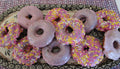 Gluten Free Donuts, Coconut Sugar, Dairy Free, Egg Free, Nut Free, Vegan, Plant Based Sprinkles, Birthday Gifts, Graduation Party, low Sugar