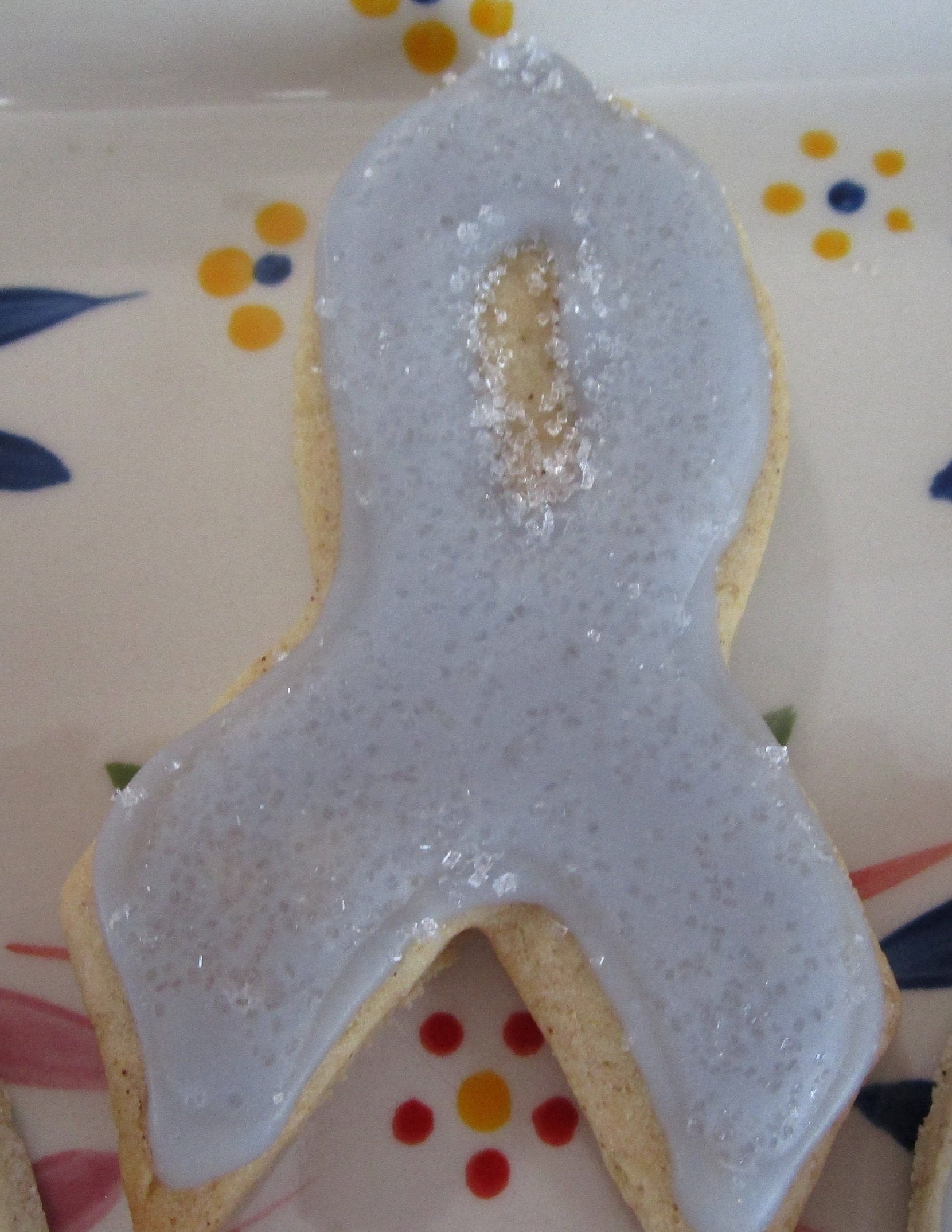 Sugar Cookie, Autism, Gluten Free, Dairy Free, Egg Free, Vegan, Nut Free, Puzzle, Blue Ribbon, Special Ed Teacher, Fundraiser, Special Needs