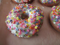 Sampler, Gluten Free, Dairy Free, Sugar Free, Egg Free, Birthday, Office, Gifts, Vegan, Nut Free, Cookies, Donuts, Keto, AIP Paleo, Fitness