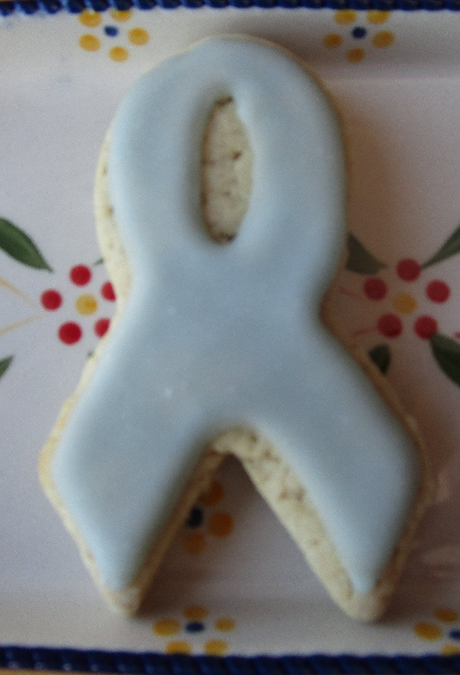 Gluten Free Cancer Awareness Ribbon Cookies, Dairy Free, Egg Free, Vegan, Nut Free, School Safe fundraisers, Hope Survivor Gifts, Autism