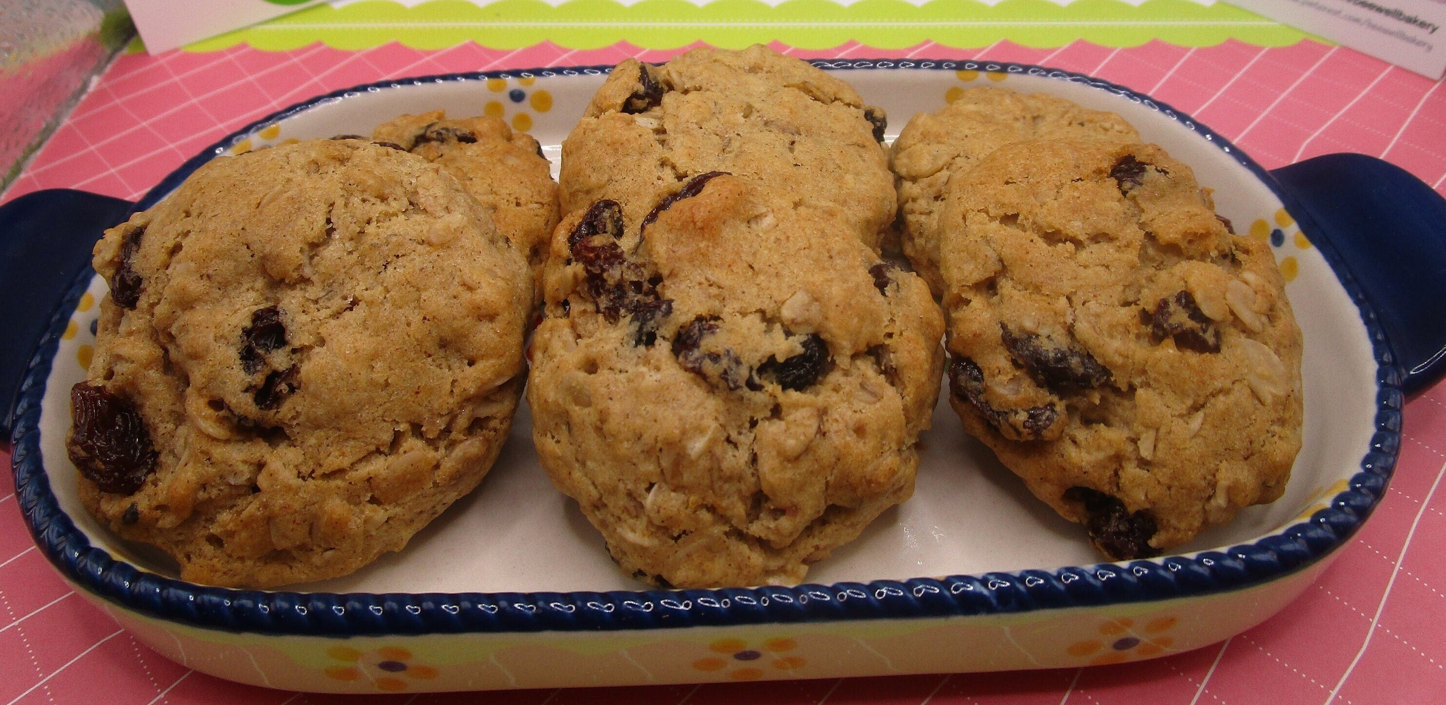 Gluten Free Cinnamon Raisin Cookie, Dairy Free, Vegan, Nut Free, Allergy Friendly, School Safe Snack, Lunchbox treat, Iced Cookies, Non-GMO