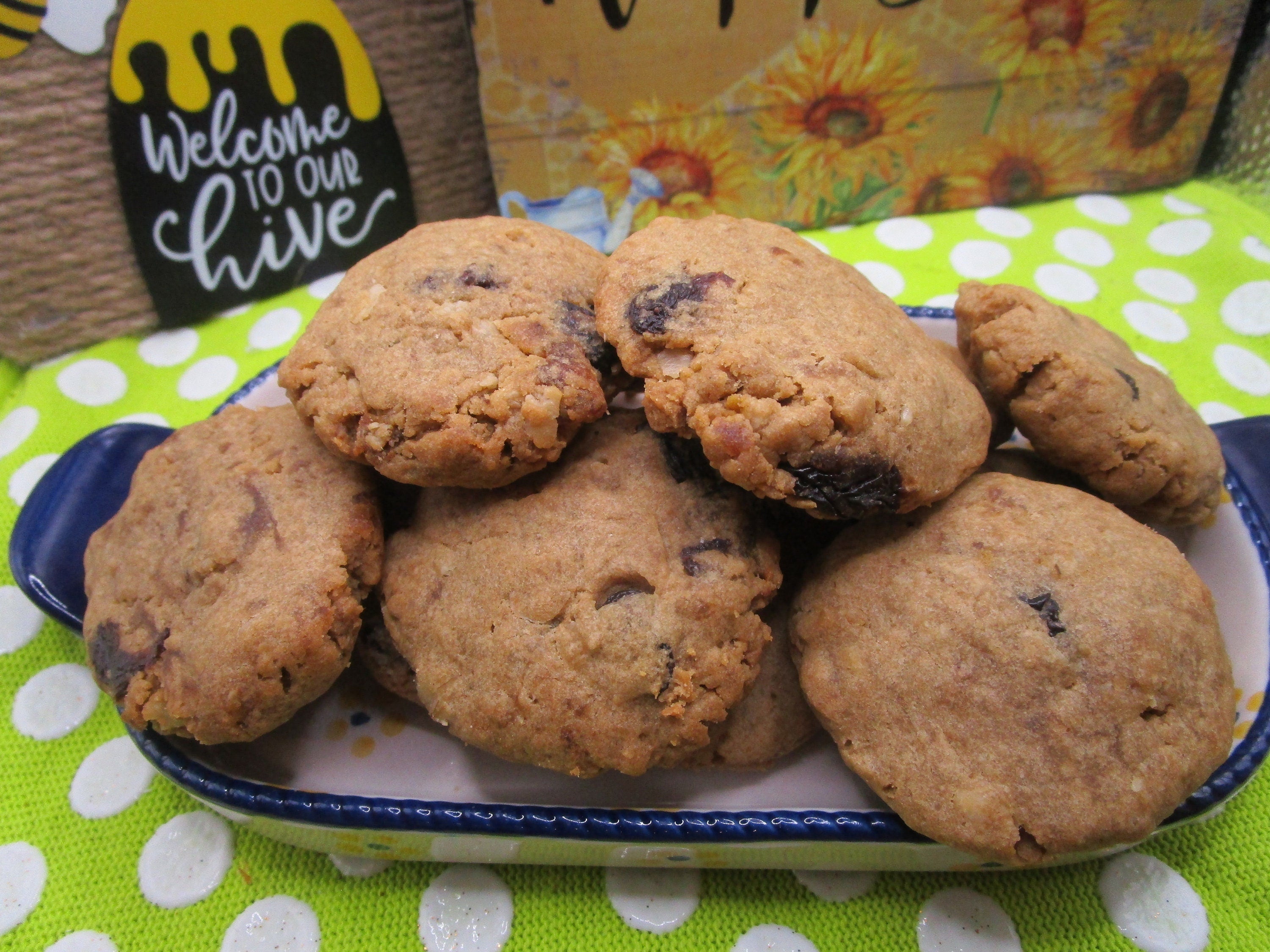 Gluten-Free Cinnamon Raisin Cookies, Vegan Protein Snack, Dairy Free, Nut Free, Portable Snacks, Fitness Gift, Low Sugar or Sugar Free