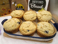 High Protein Muffins, Gluten Free, Sugar Free, Dairy Free, Egg Free, Monk Fruit, Vegan Collagen, Blueberry, Fitness Gifts, Holiday Breakfast