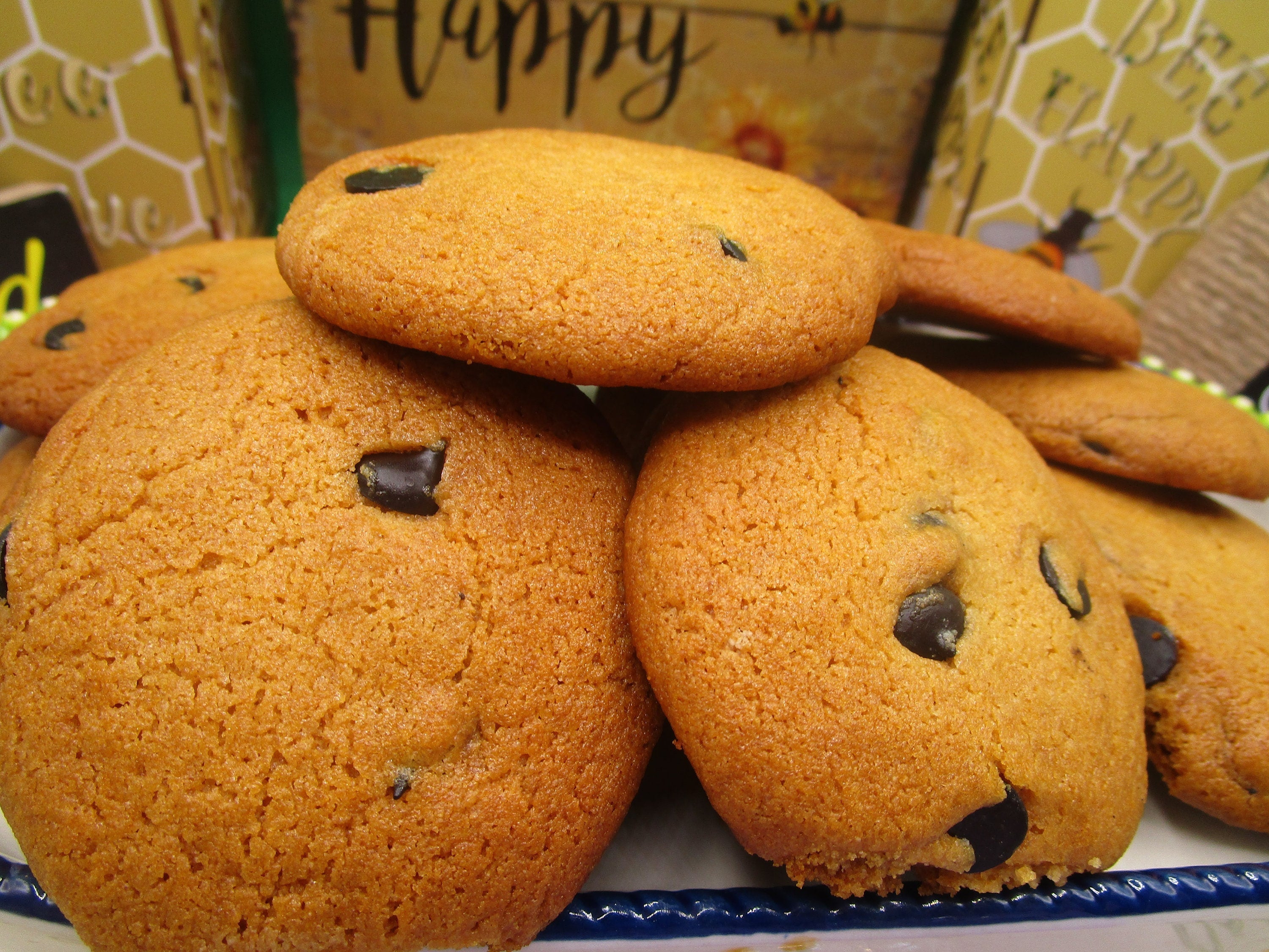 Gluten Free Cashew Cookies, Carob Chip, Vegan, Egg Free, Dairy Free, Healthy Snacks, Fitness, Agave Sugar, Soft & Chewy, Lunch Box Essential