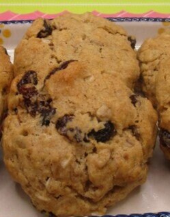 Gluten Free Cinnamon Raisin Cookies, Iced Oatmeal, Dairy Free, Sulfite Free, Vegan, Egg Free, Healthy Snacks, Birthday Gift, low sugar treat
